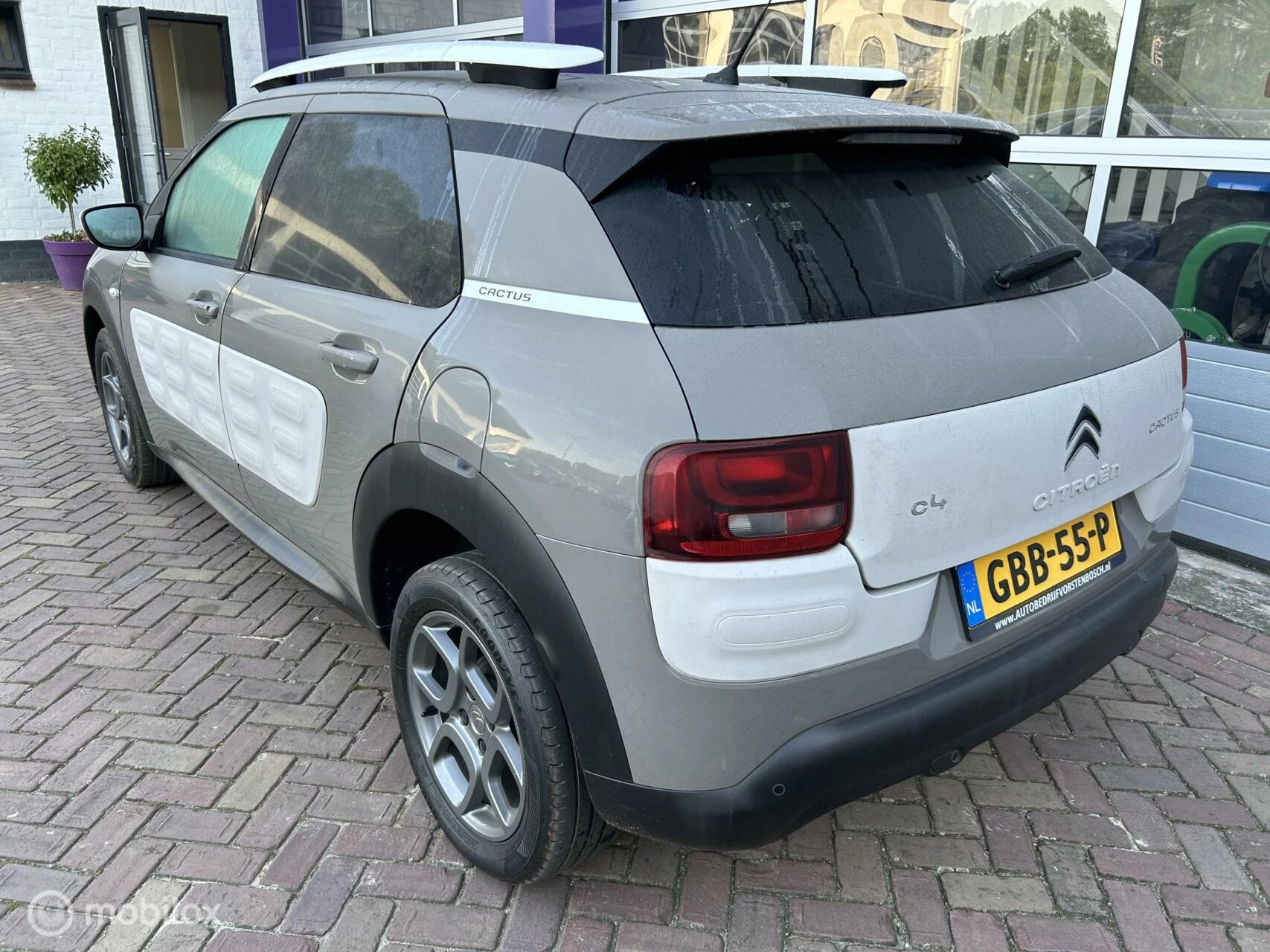 Hoofdafbeelding Citroën C4 Cactus