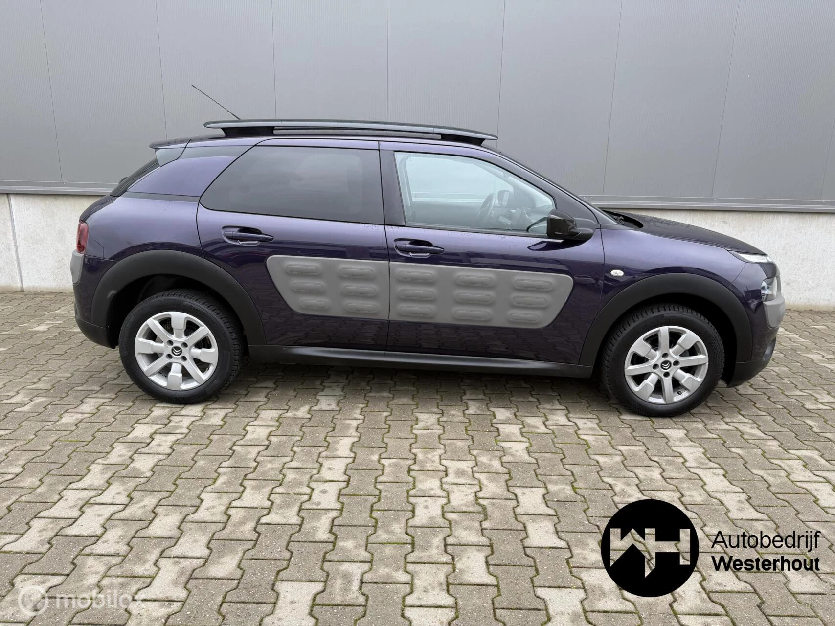 Hoofdafbeelding Citroën C4 Cactus