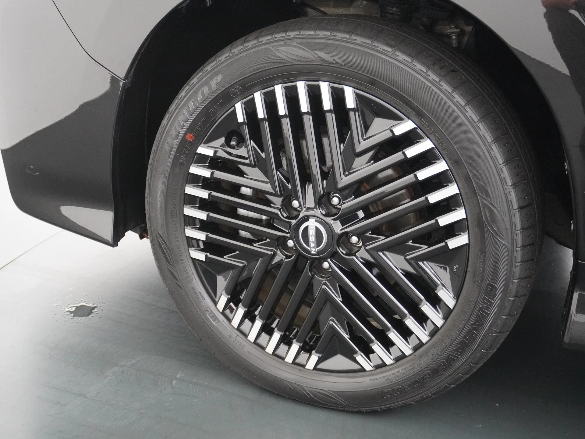 Hoofdafbeelding Nissan Leaf