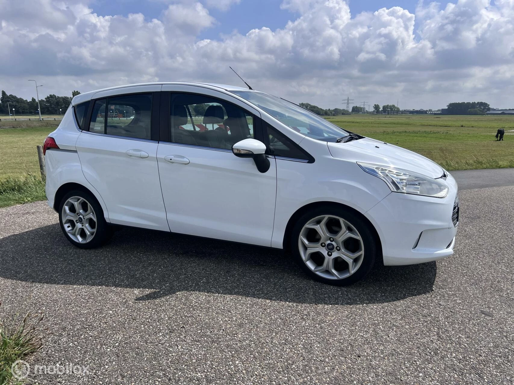 Hoofdafbeelding Ford B-MAX