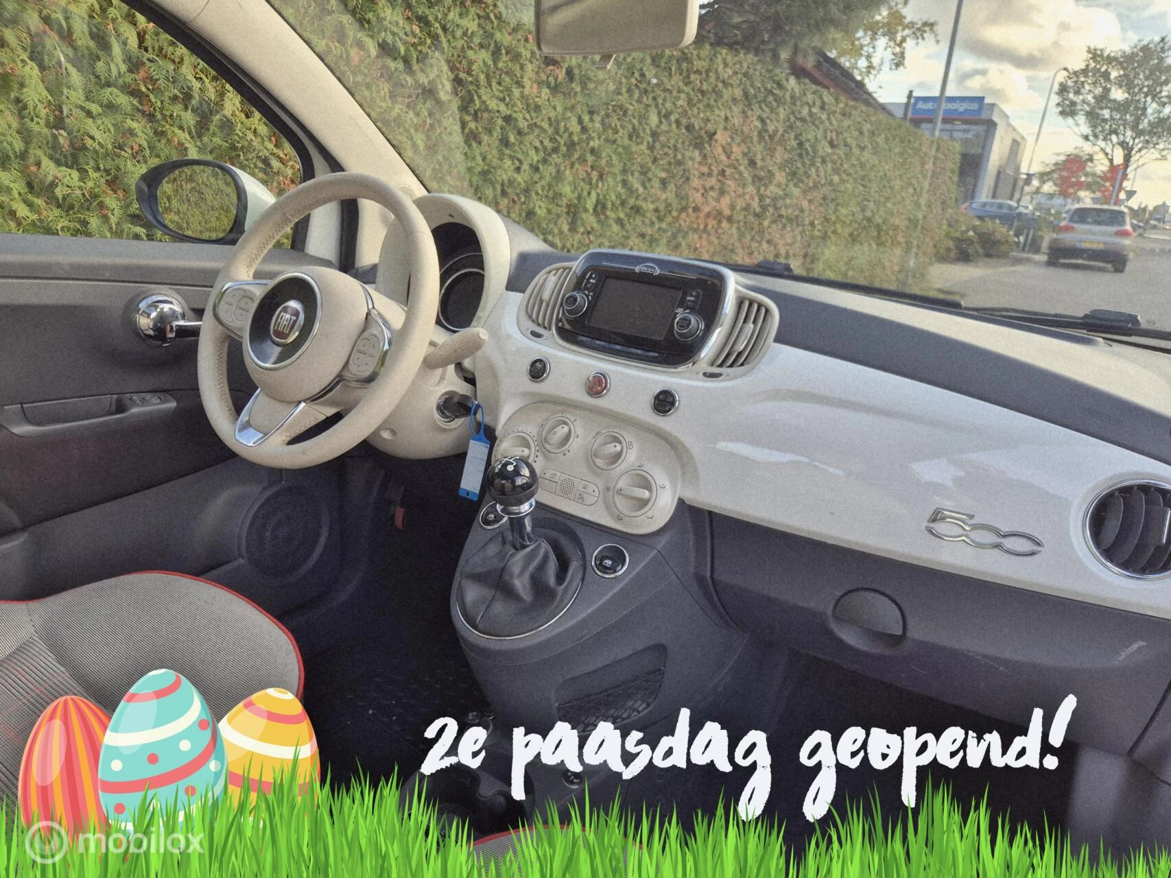 Hoofdafbeelding Fiat 500