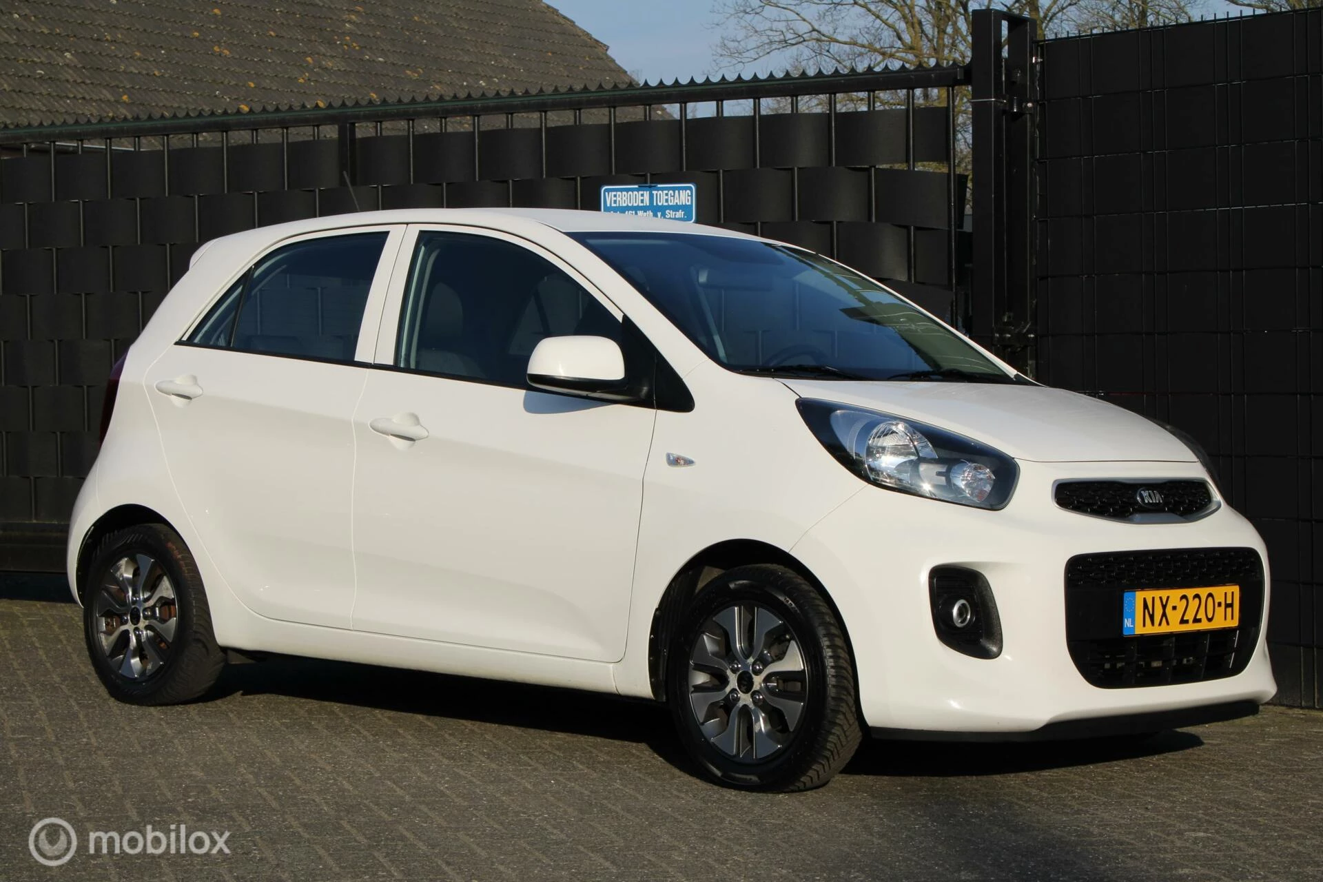 Hoofdafbeelding Kia Picanto