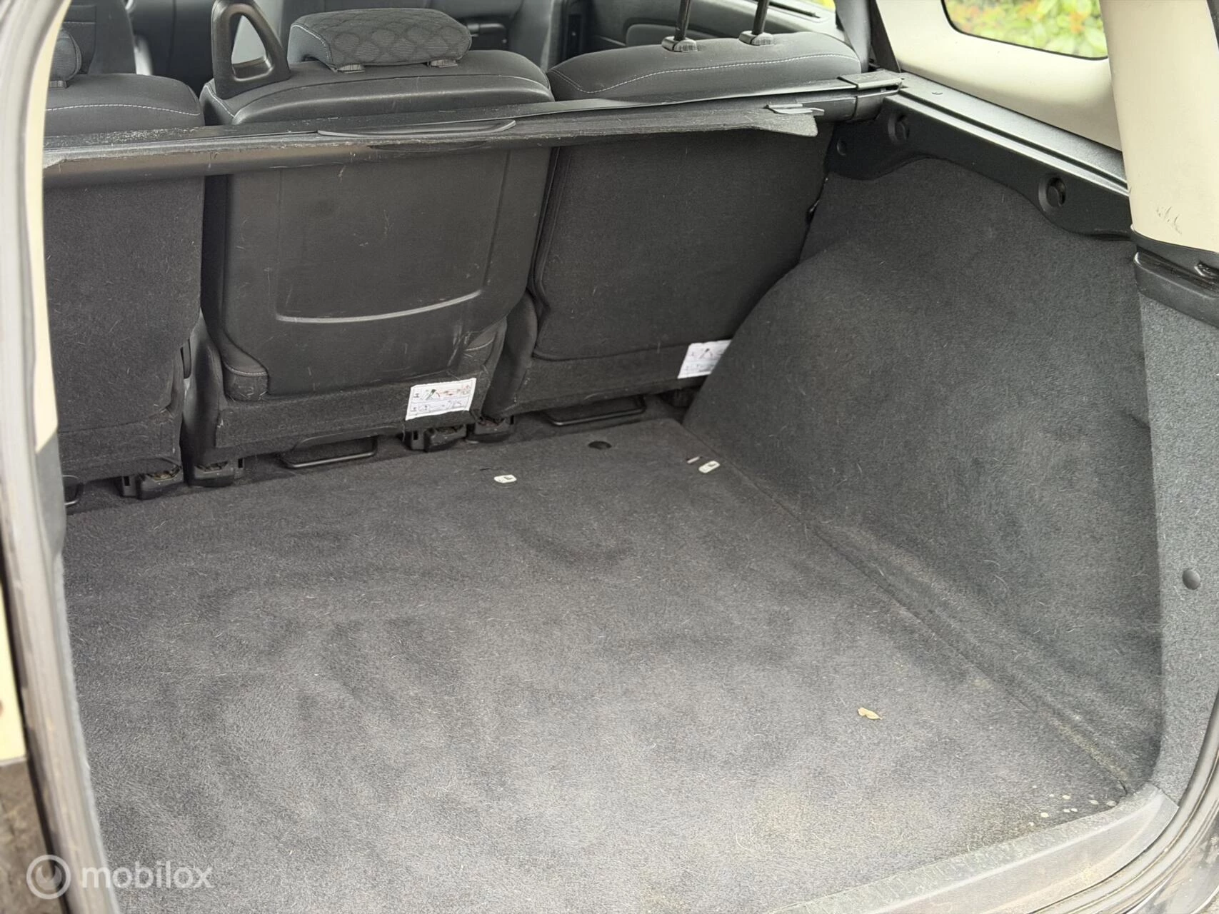 Hoofdafbeelding Renault Scénic