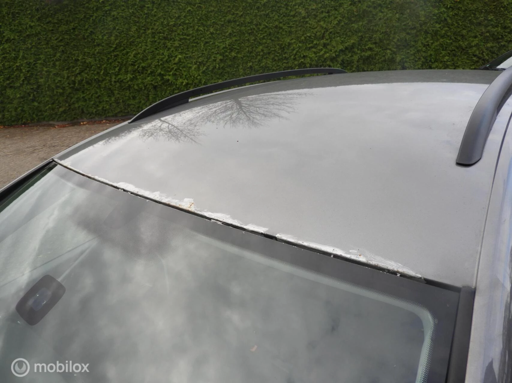 Hoofdafbeelding Volkswagen Golf Plus