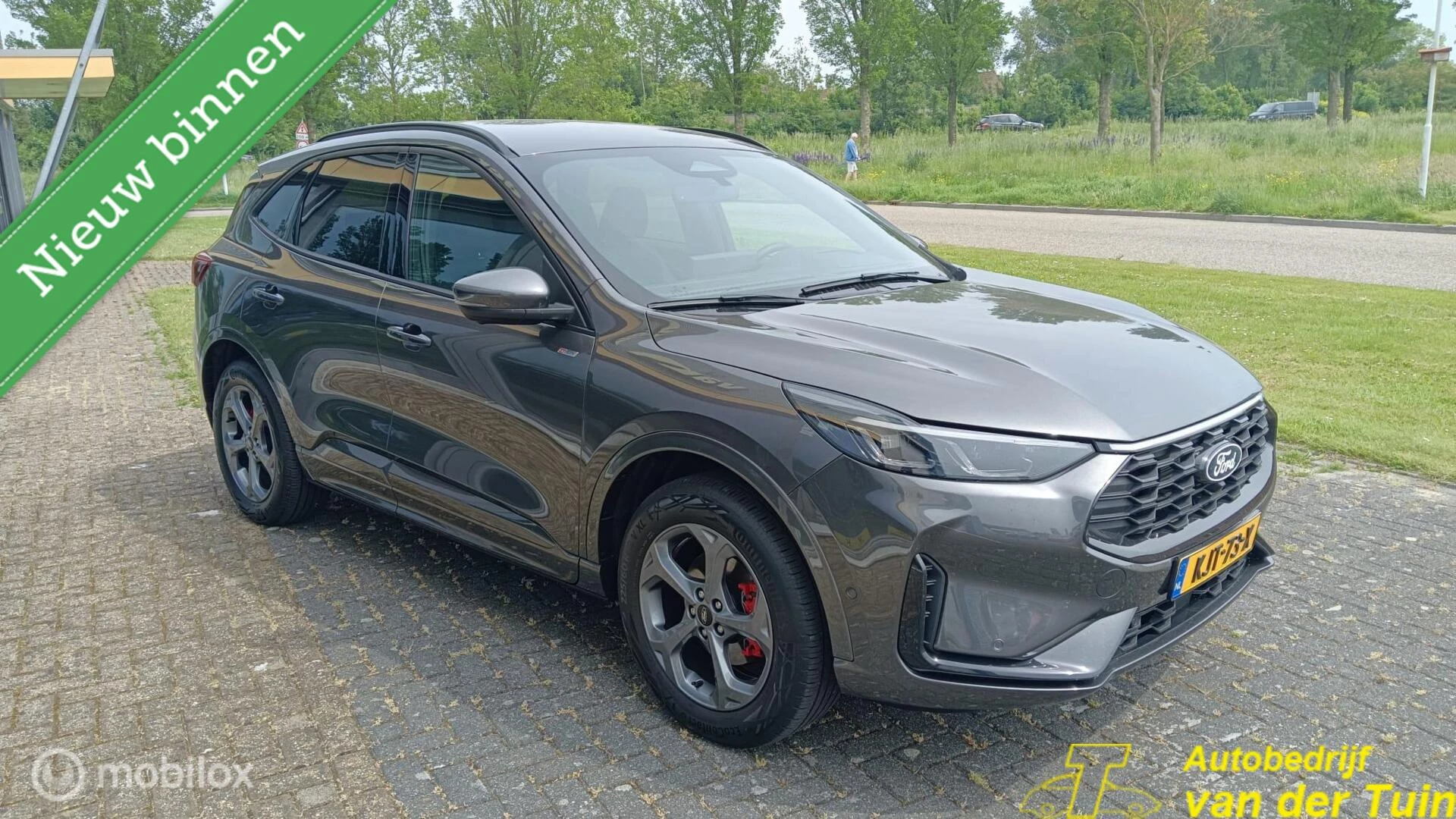 Hoofdafbeelding Ford Kuga