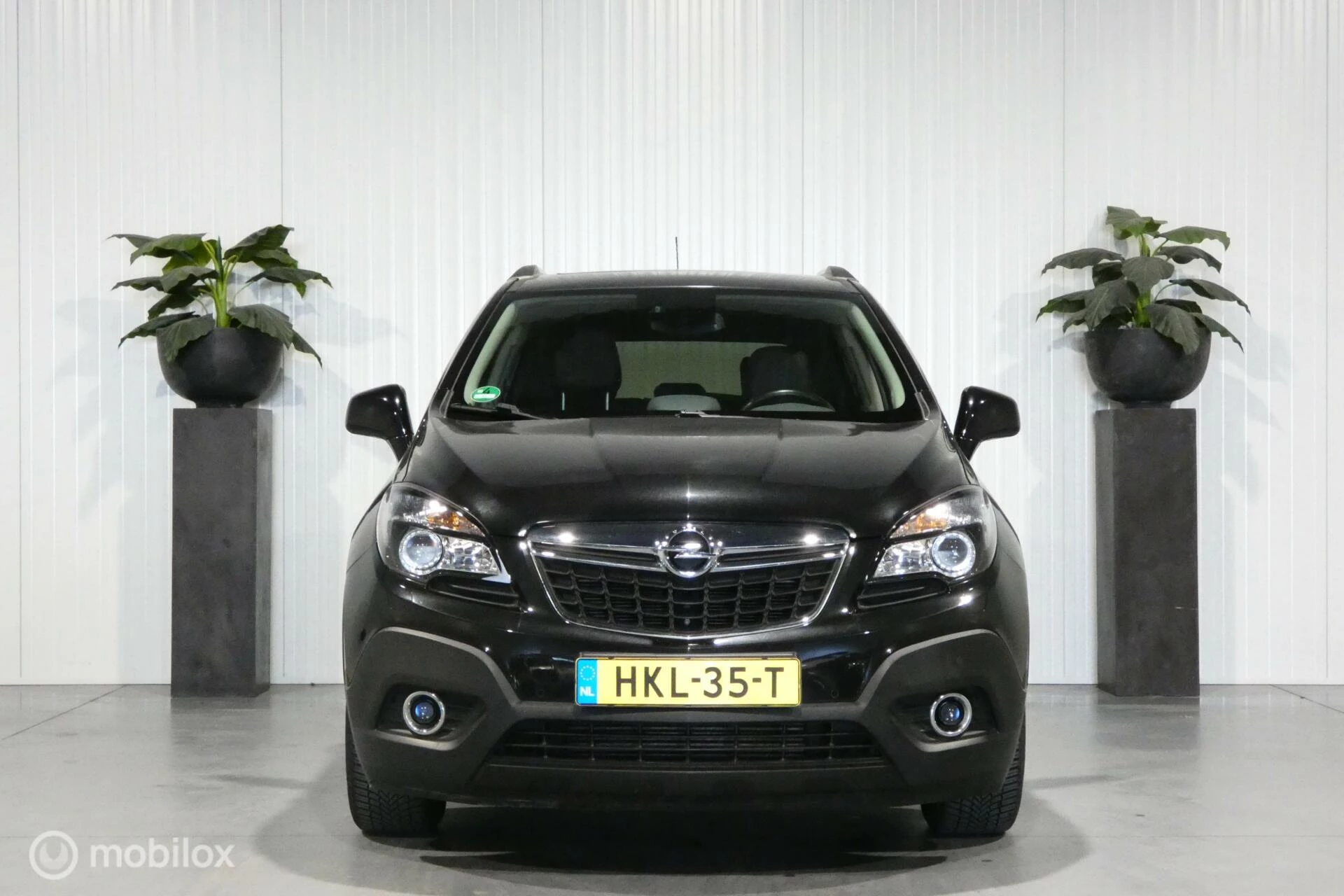 Hoofdafbeelding Opel Mokka