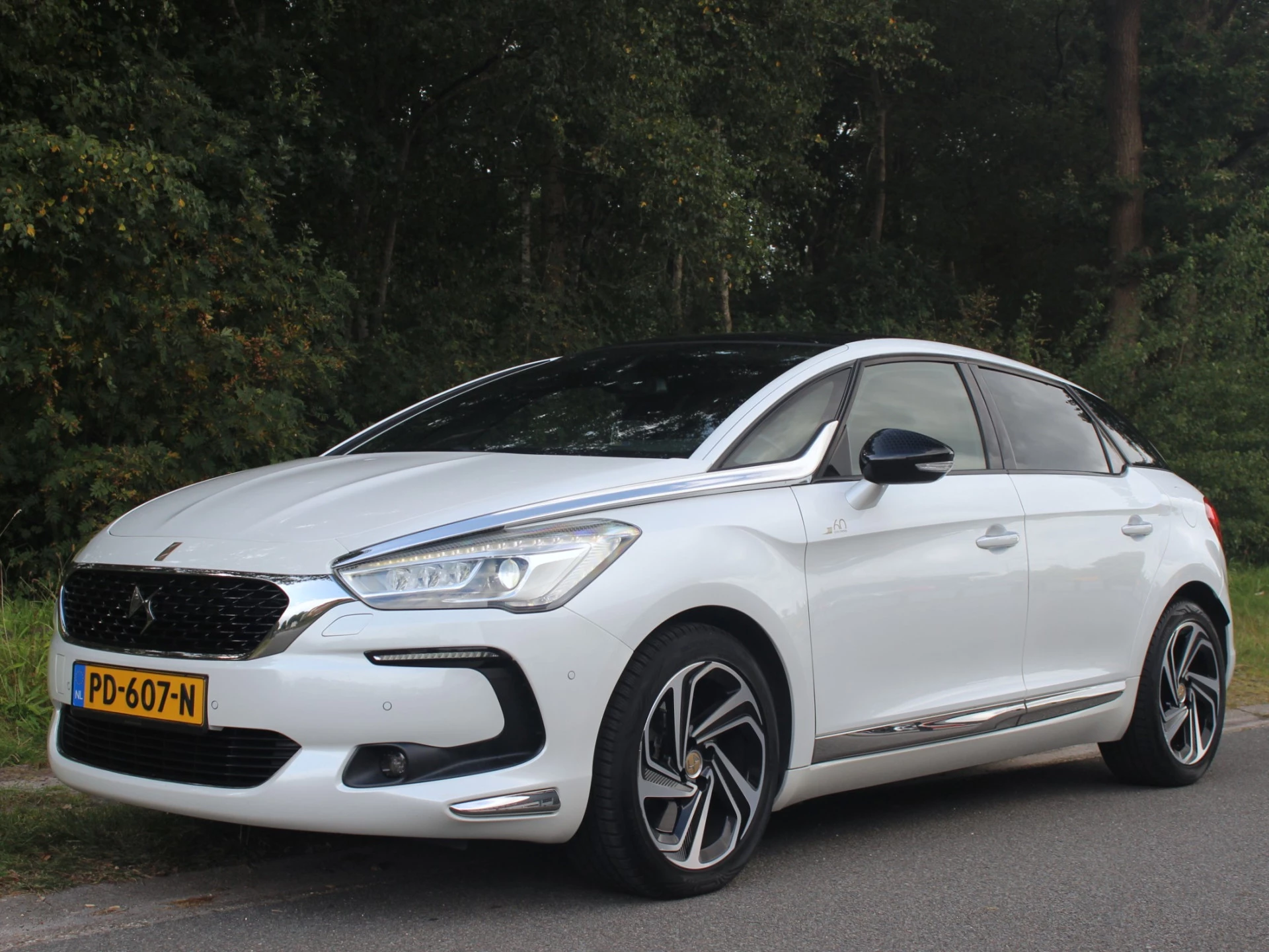 Hoofdafbeelding DS DS 5
