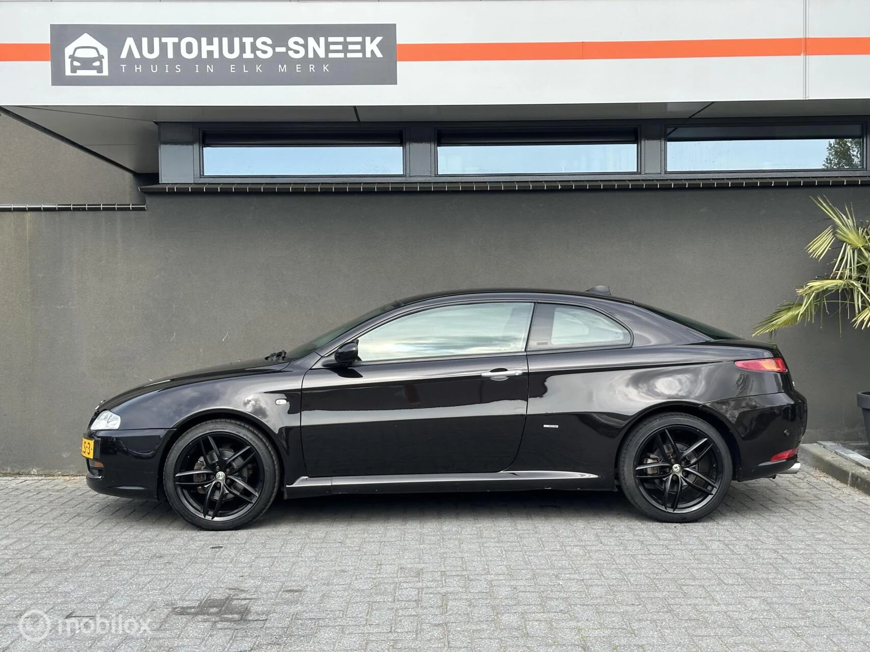 Hoofdafbeelding Alfa Romeo GT