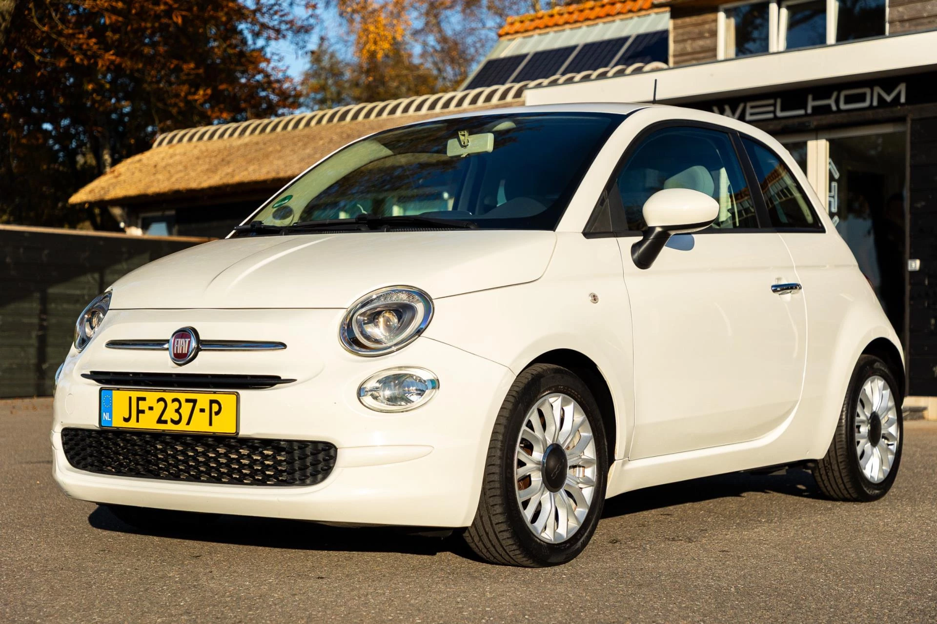 Hoofdafbeelding Fiat 500
