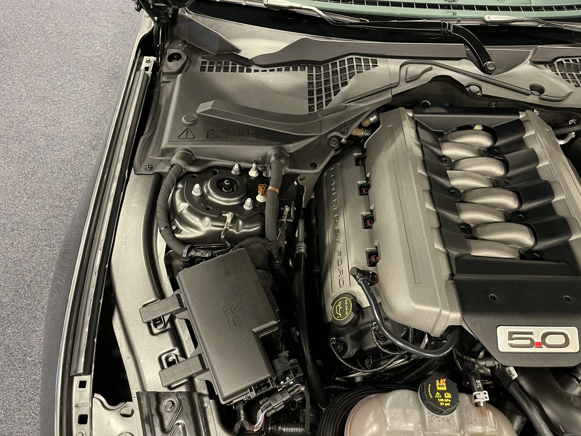 Hoofdafbeelding Ford Mustang