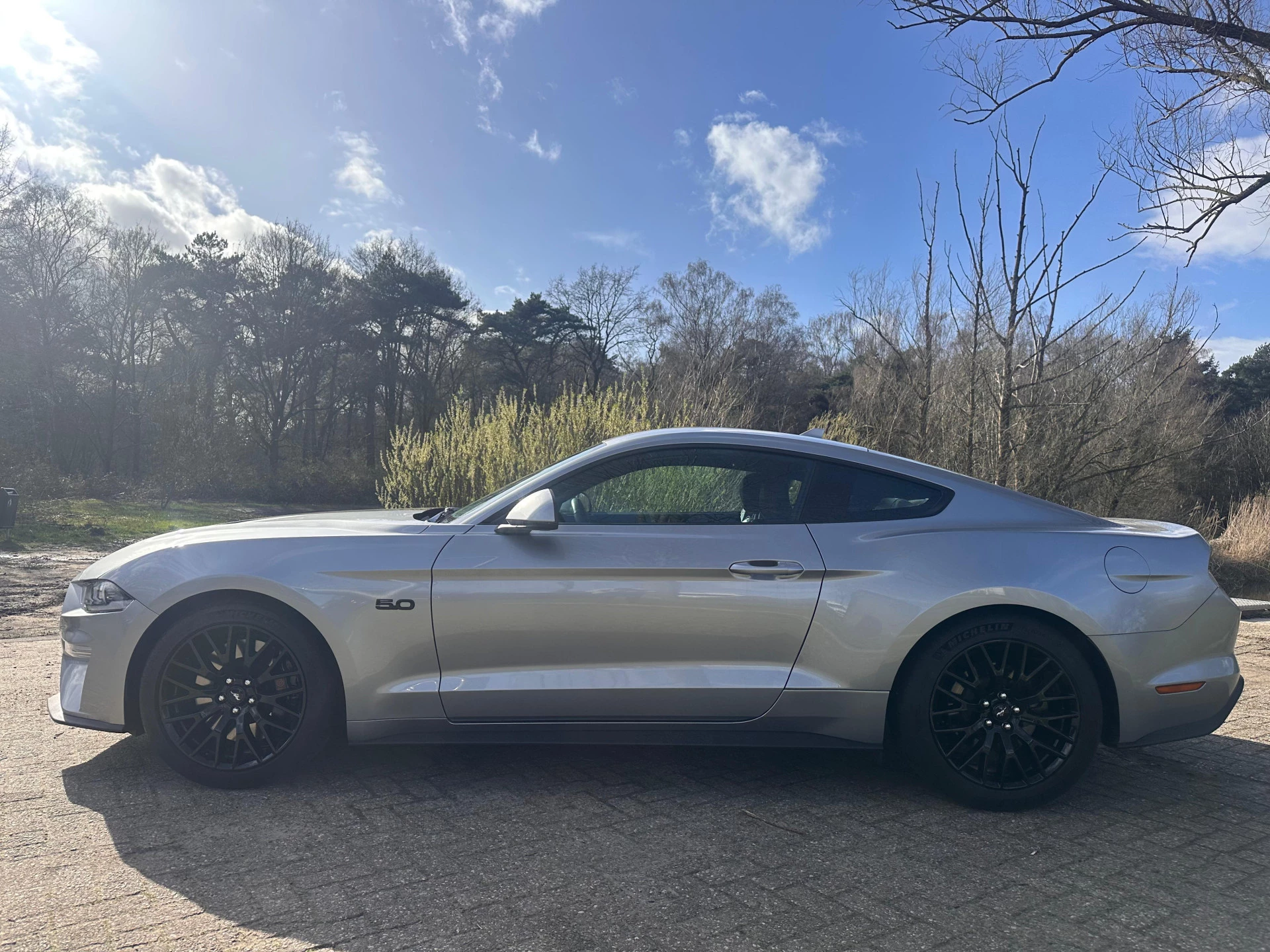 Hoofdafbeelding Ford Mustang