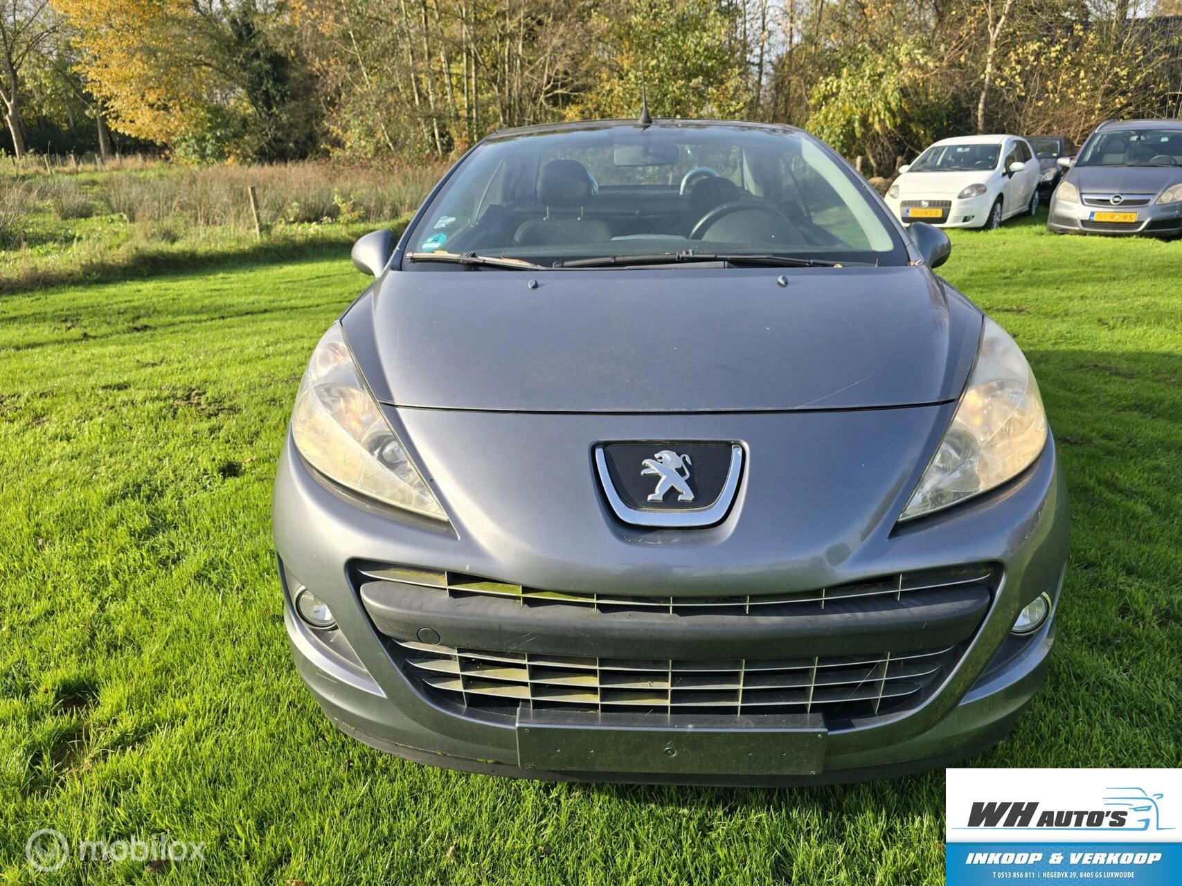 Hoofdafbeelding Peugeot 207