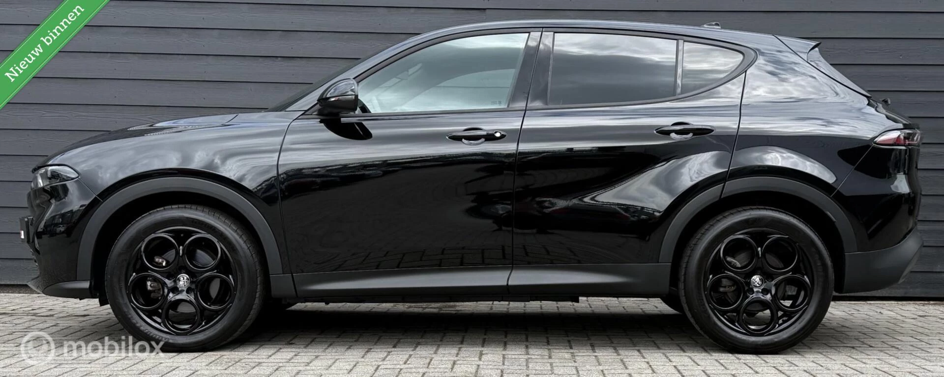 Hoofdafbeelding Alfa Romeo Tonale