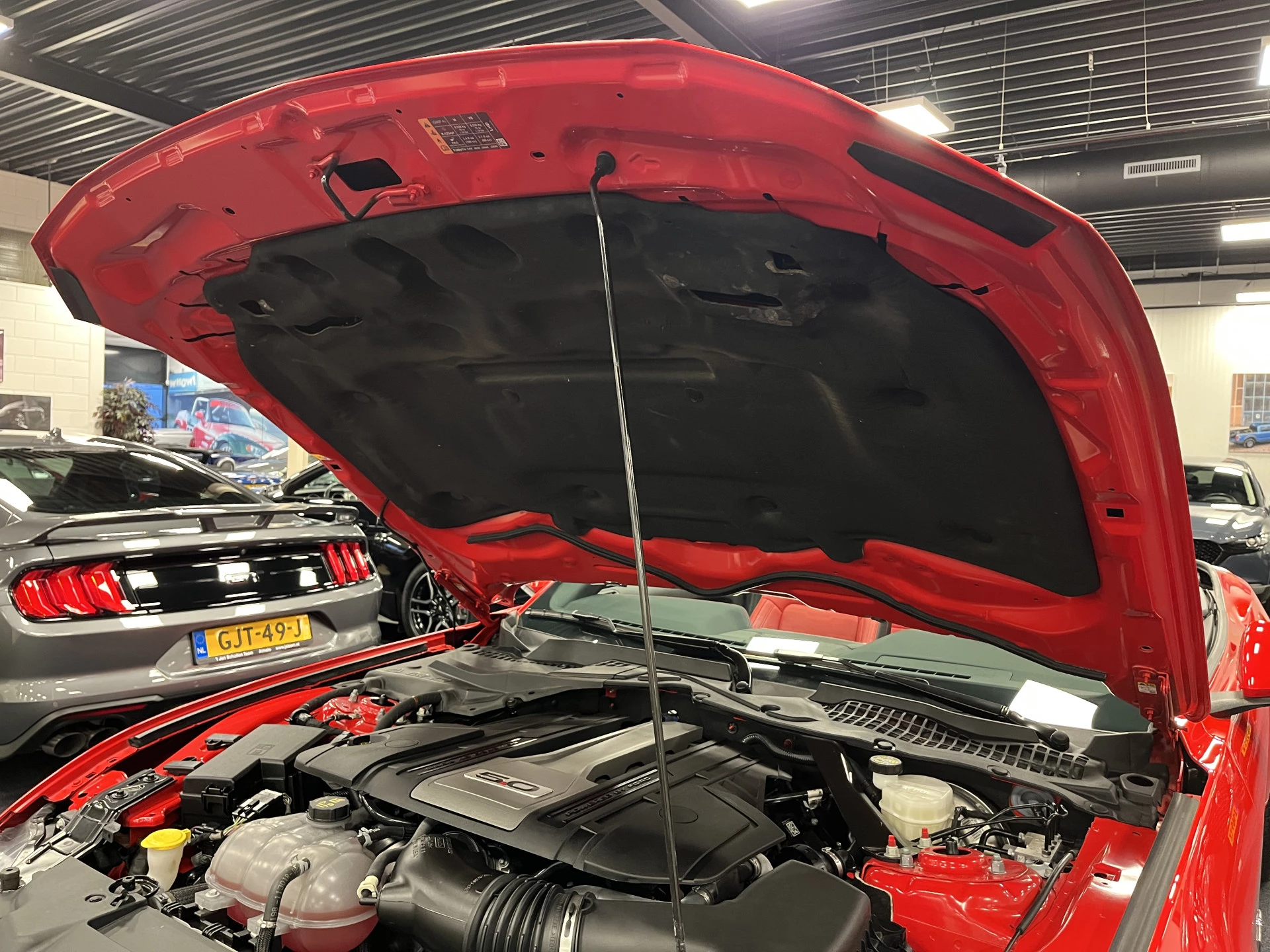 Hoofdafbeelding Ford Mustang