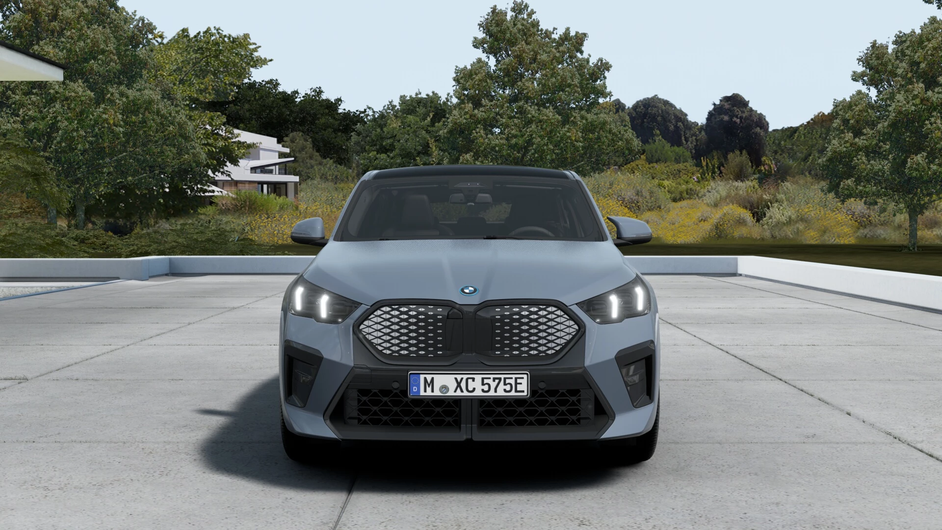 Hoofdafbeelding BMW iX2