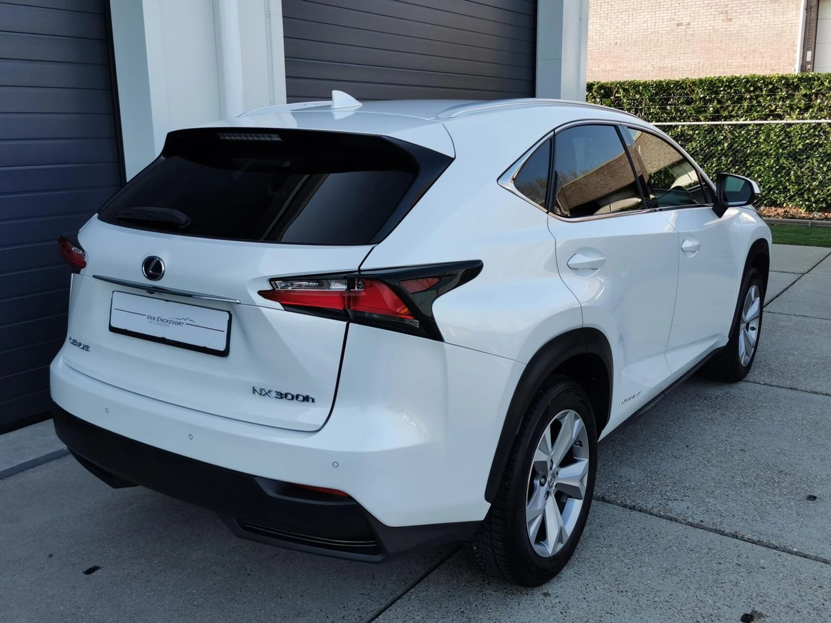 Hoofdafbeelding Lexus NX