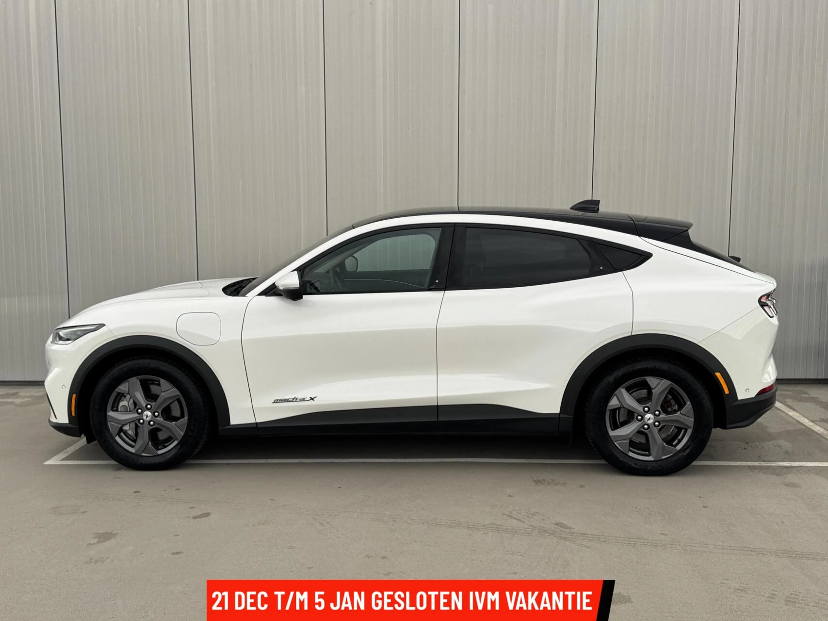 Hoofdafbeelding Ford Mustang Mach-E