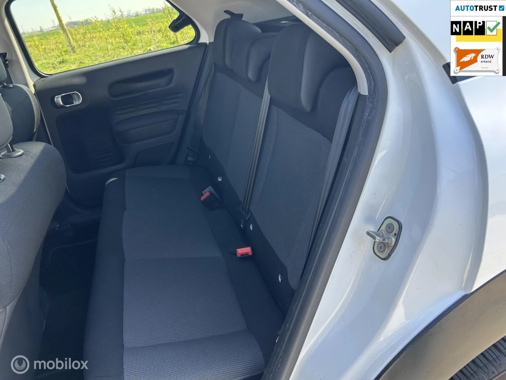 Hoofdafbeelding Citroën C4 Cactus