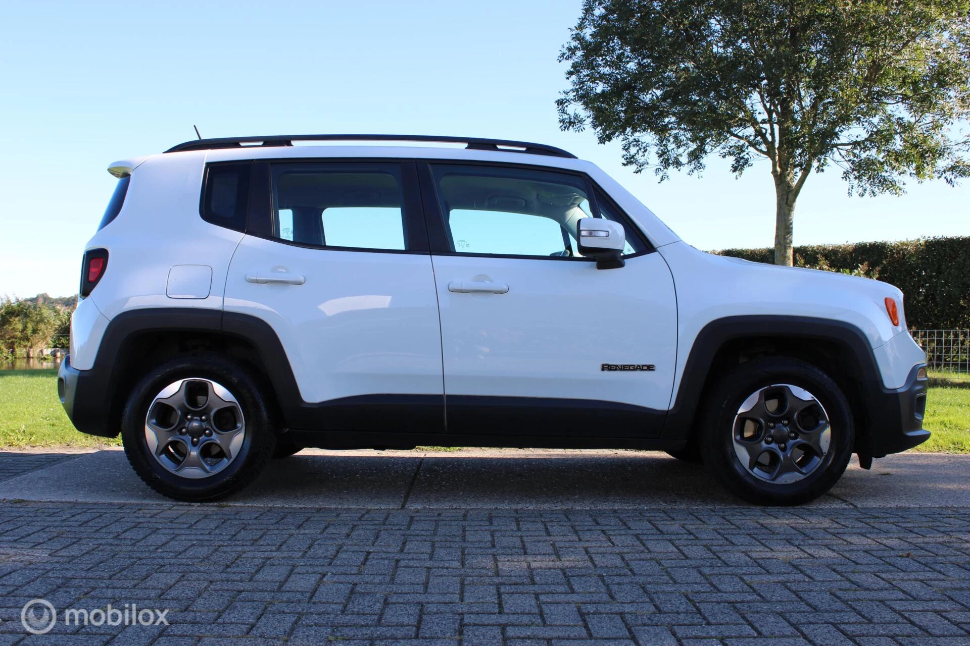 Hoofdafbeelding Jeep Renegade