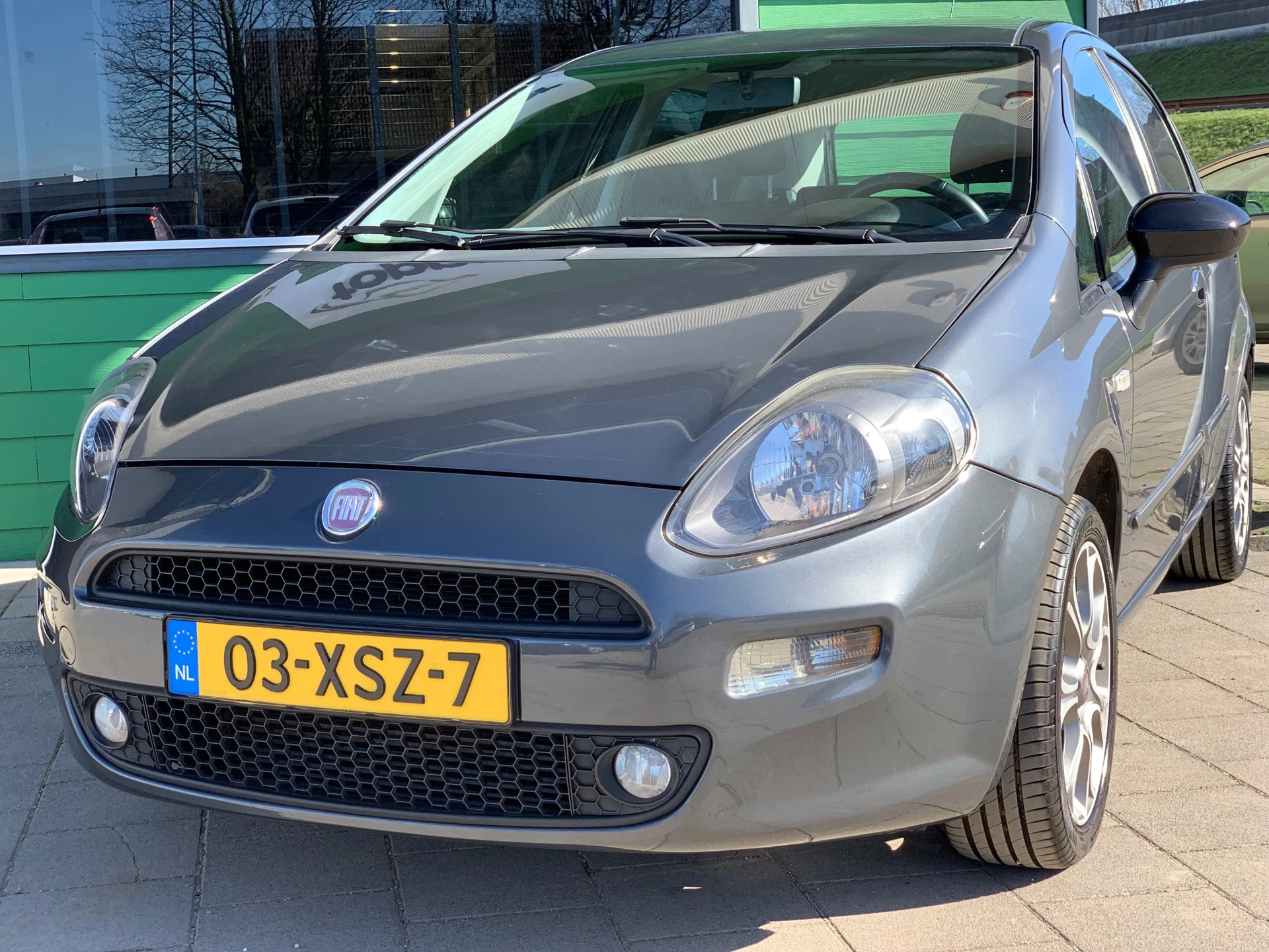 Hoofdafbeelding Fiat Punto