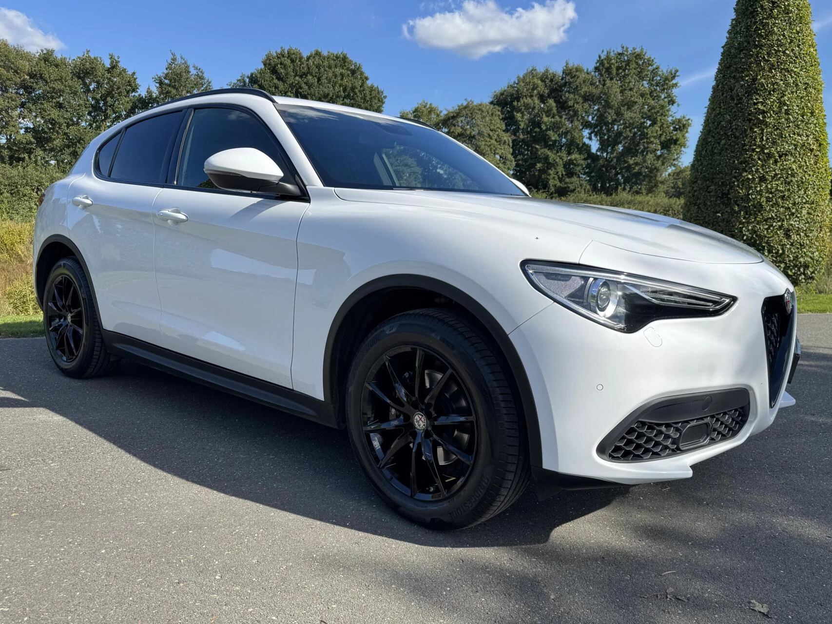 Hoofdafbeelding Alfa Romeo Stelvio