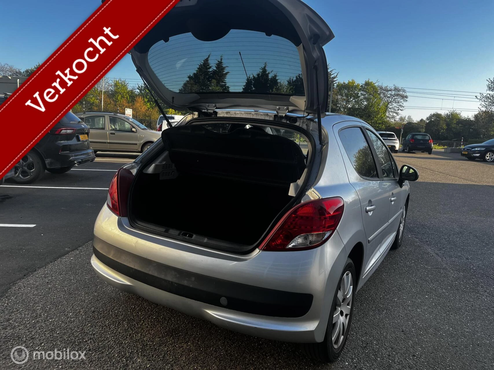 Hoofdafbeelding Peugeot 207