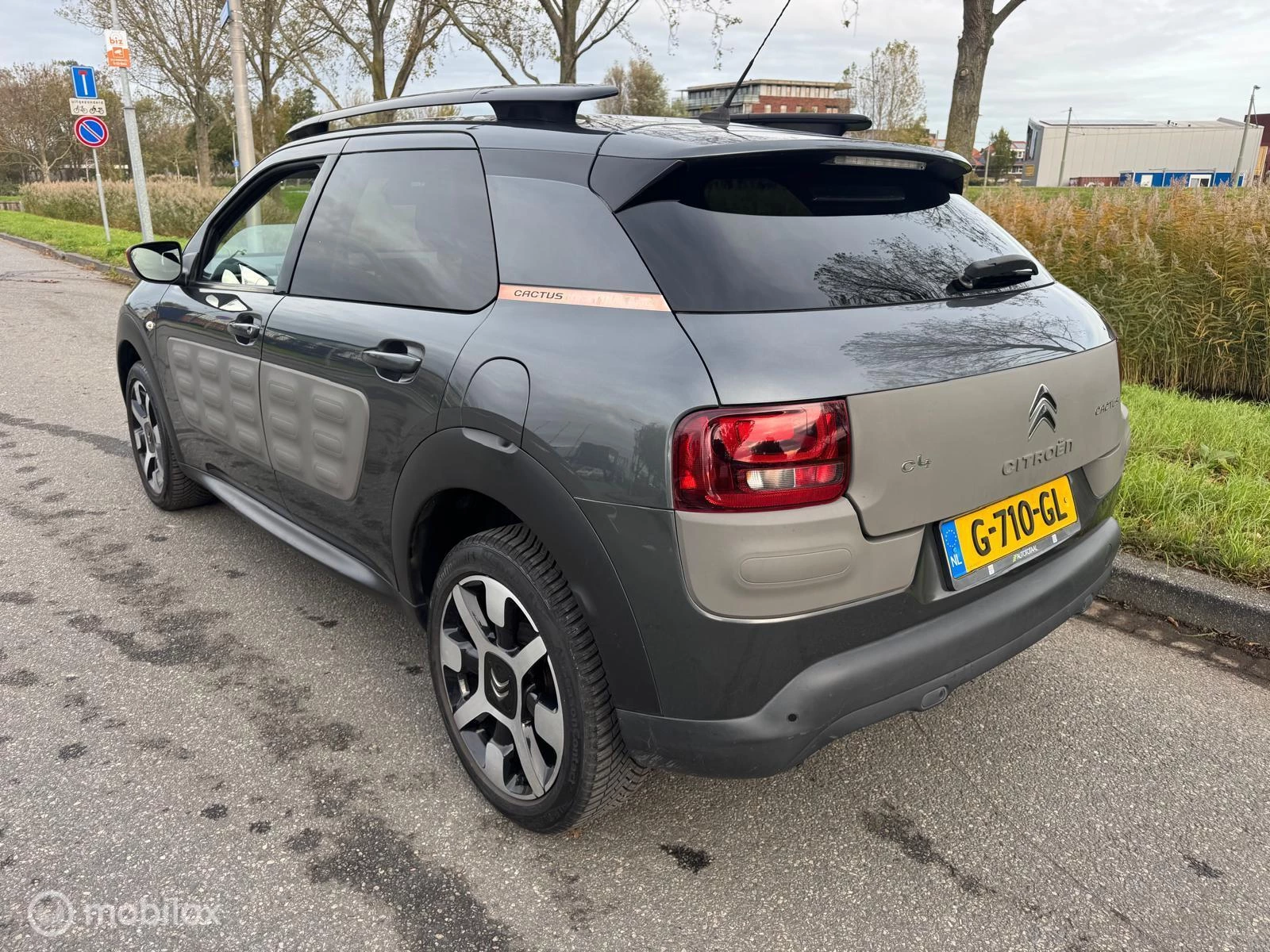 Hoofdafbeelding Citroën C4 Cactus