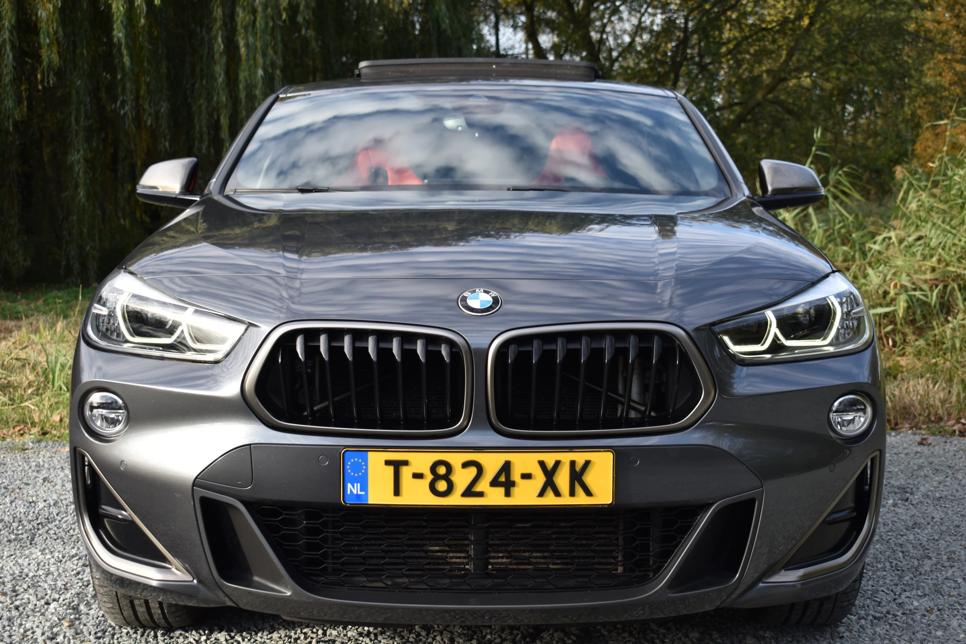 Hoofdafbeelding BMW X2