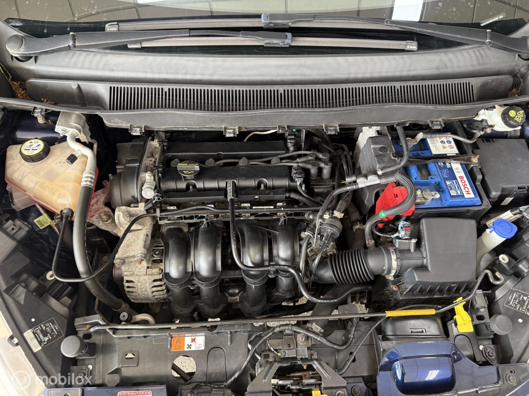 Hoofdafbeelding Ford B-MAX