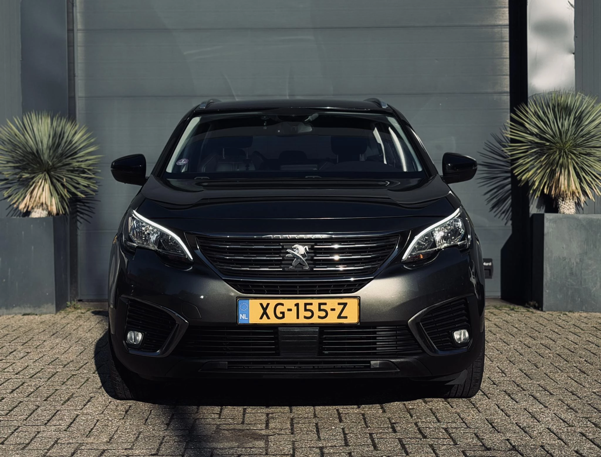 Hoofdafbeelding Peugeot 5008