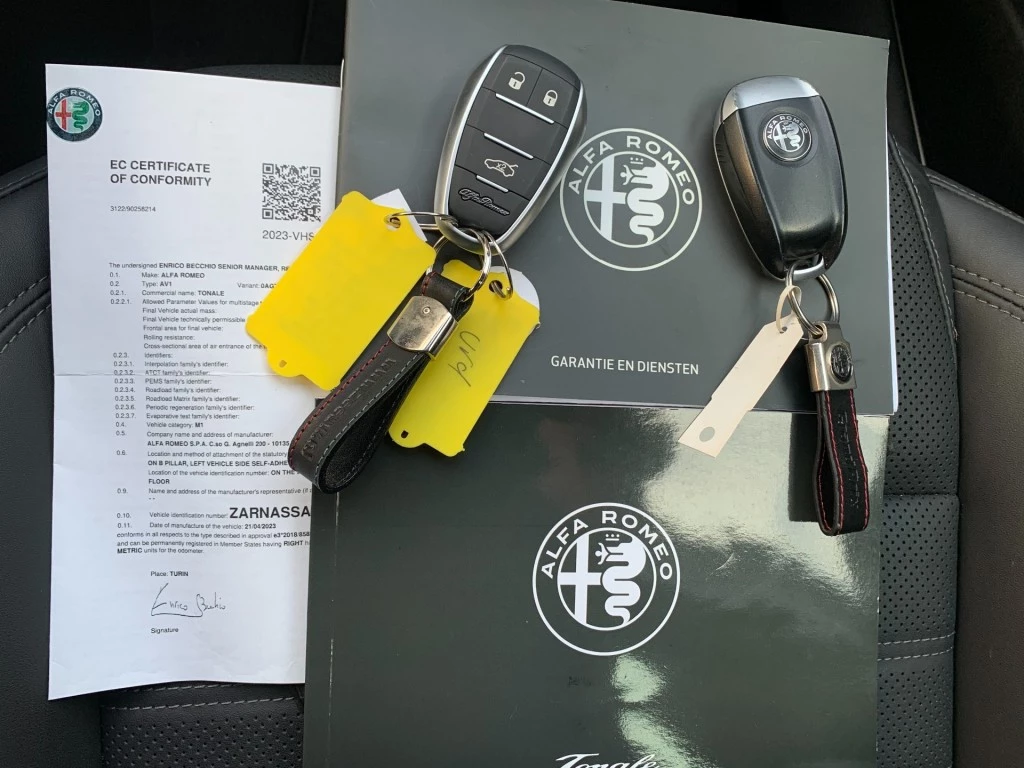 Hoofdafbeelding Alfa Romeo Tonale