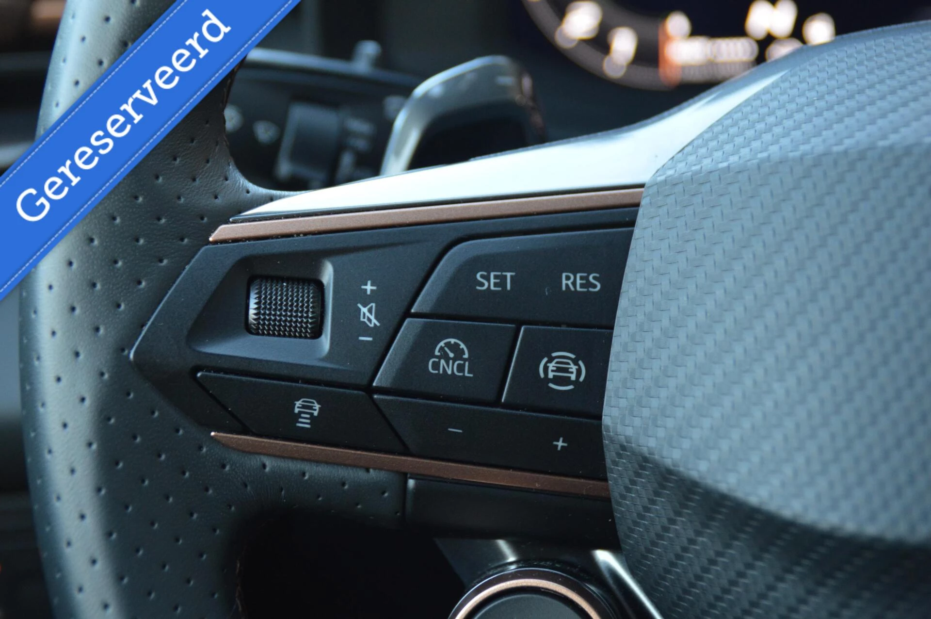 Hoofdafbeelding CUPRA Terramar
