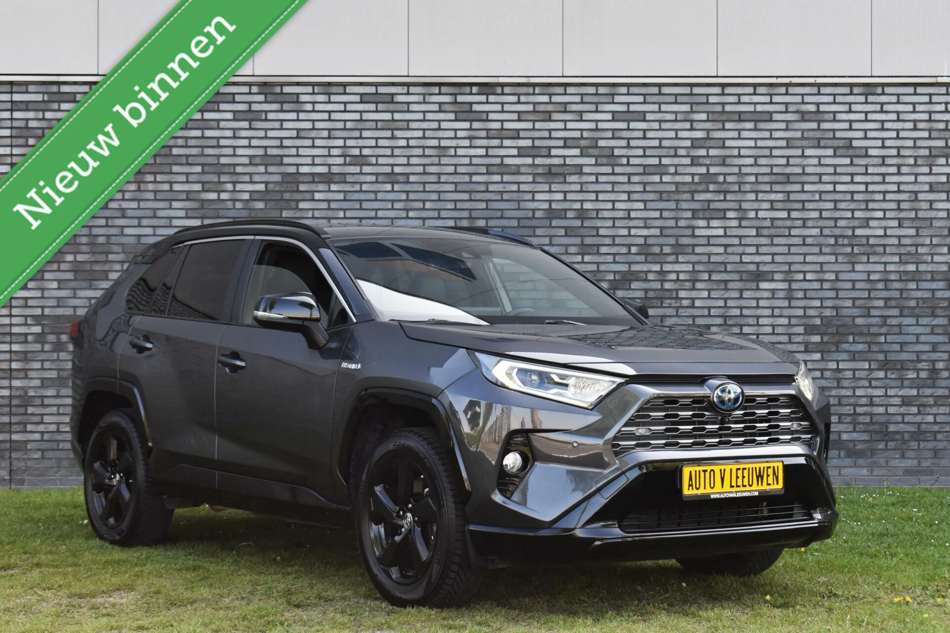Hoofdafbeelding Toyota RAV4