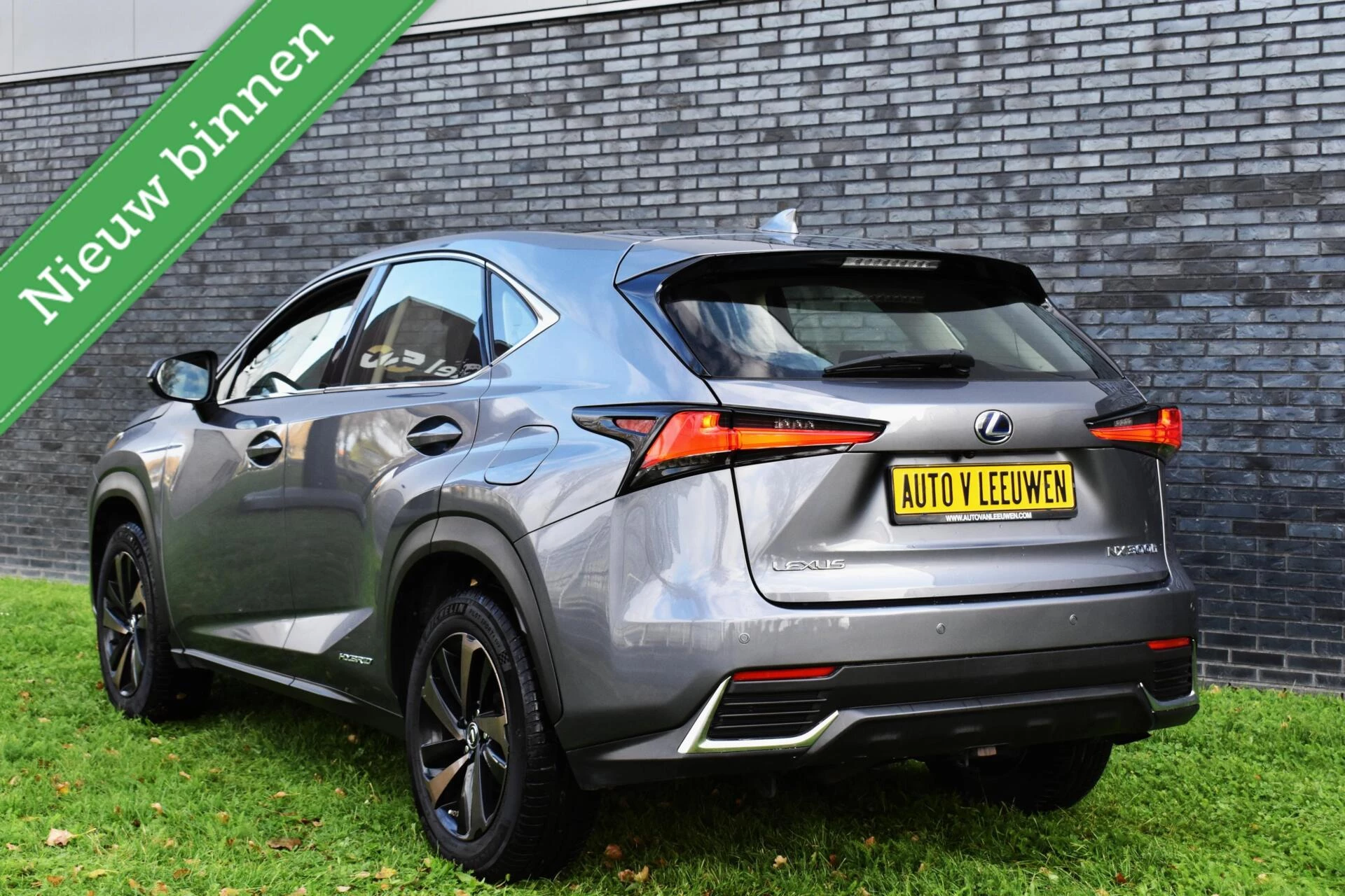 Hoofdafbeelding Lexus NX