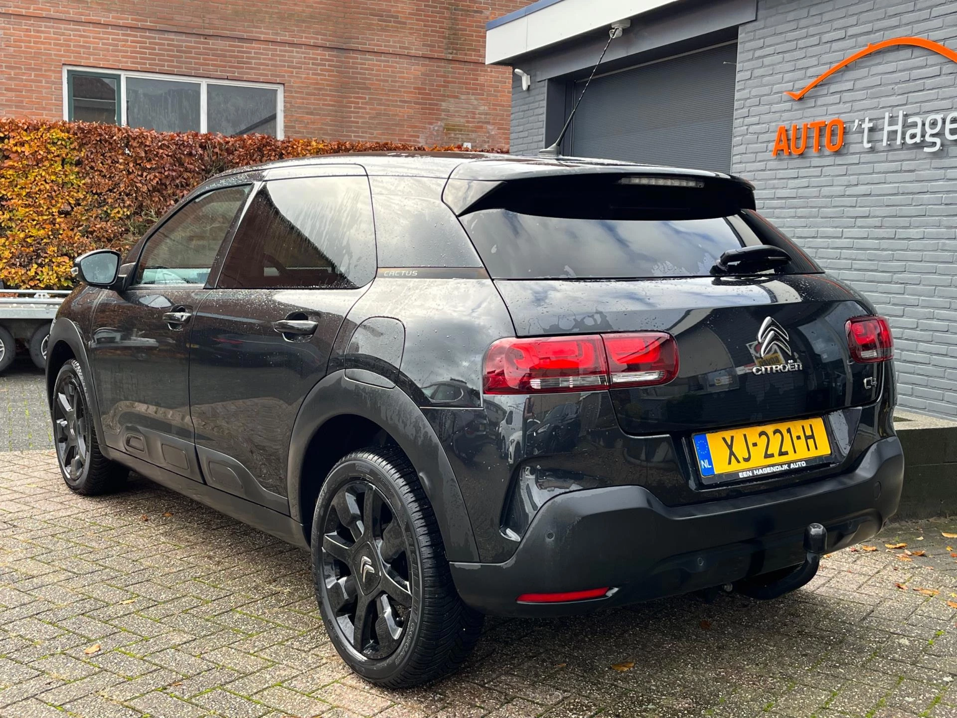 Hoofdafbeelding Citroën C4 Cactus