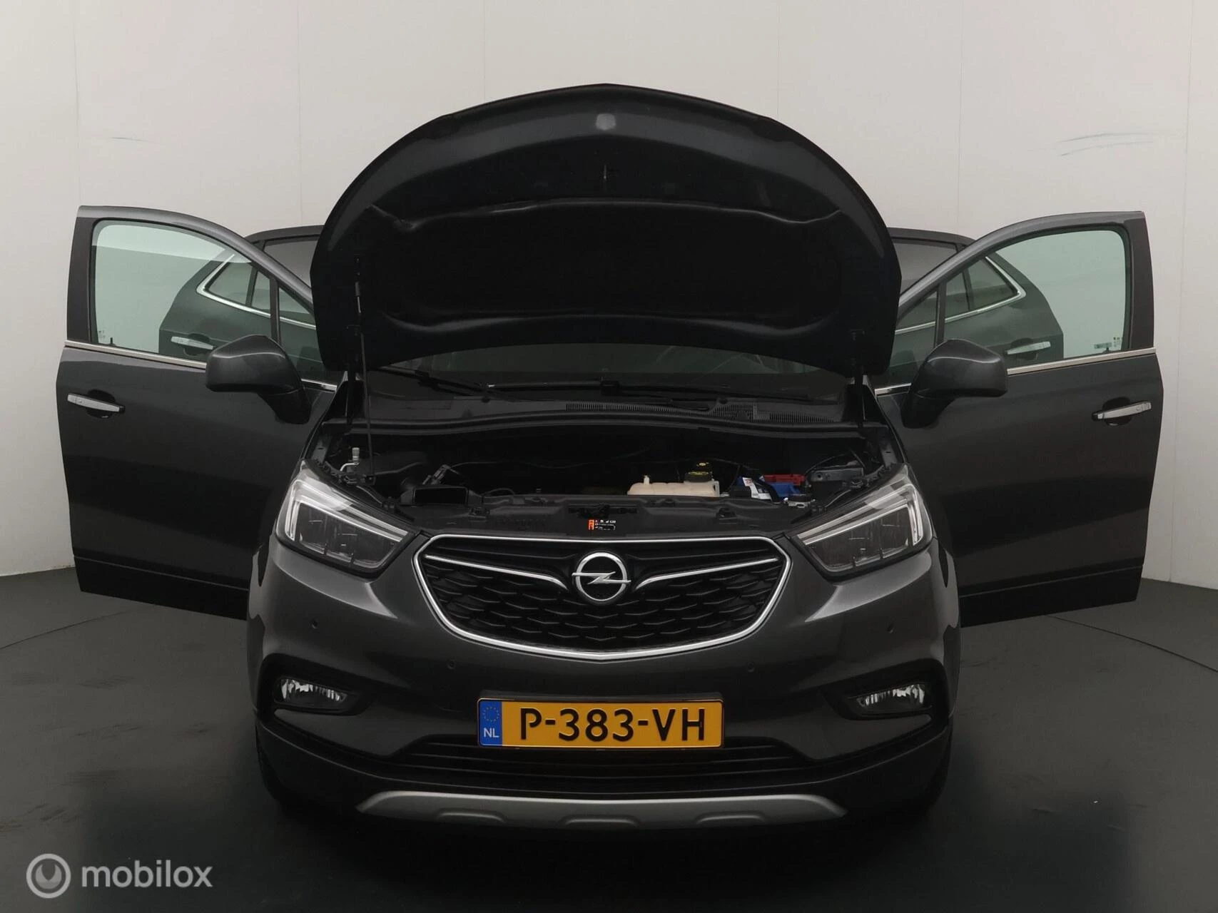 Hoofdafbeelding Opel Mokka X