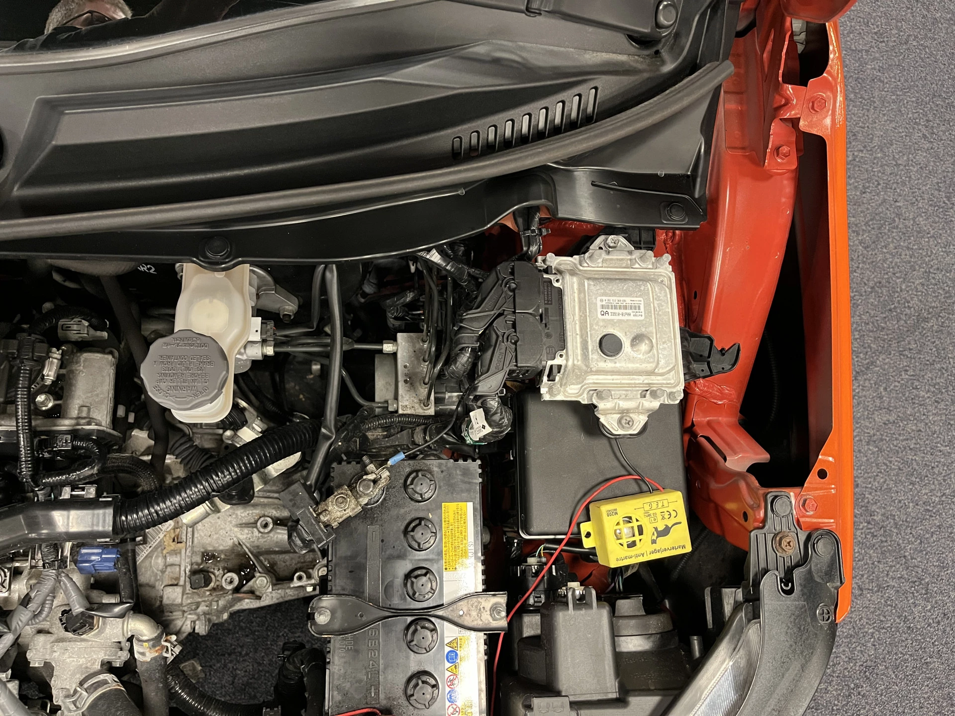 Hoofdafbeelding Suzuki Ignis