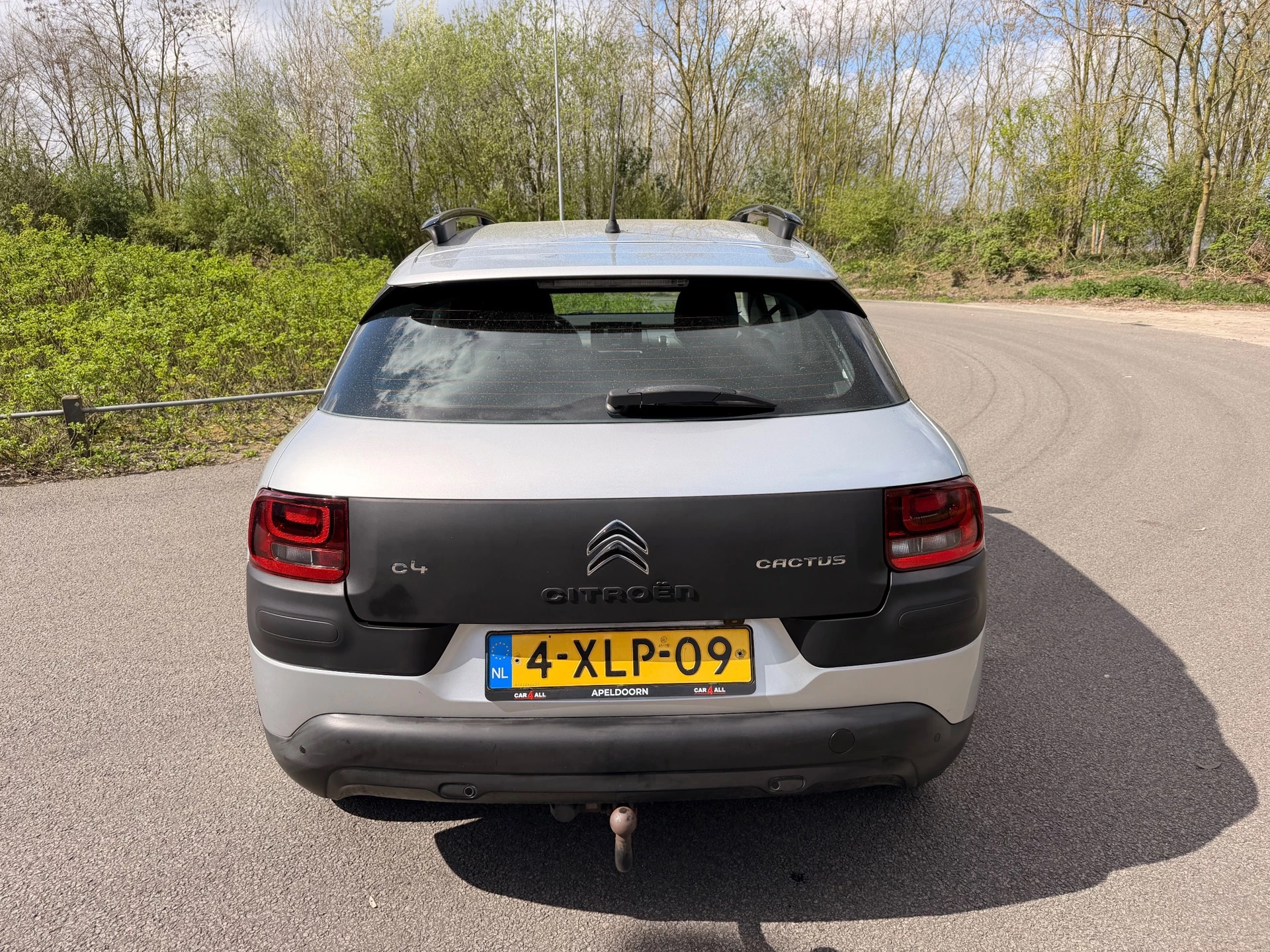 Hoofdafbeelding Citroën C4 Cactus