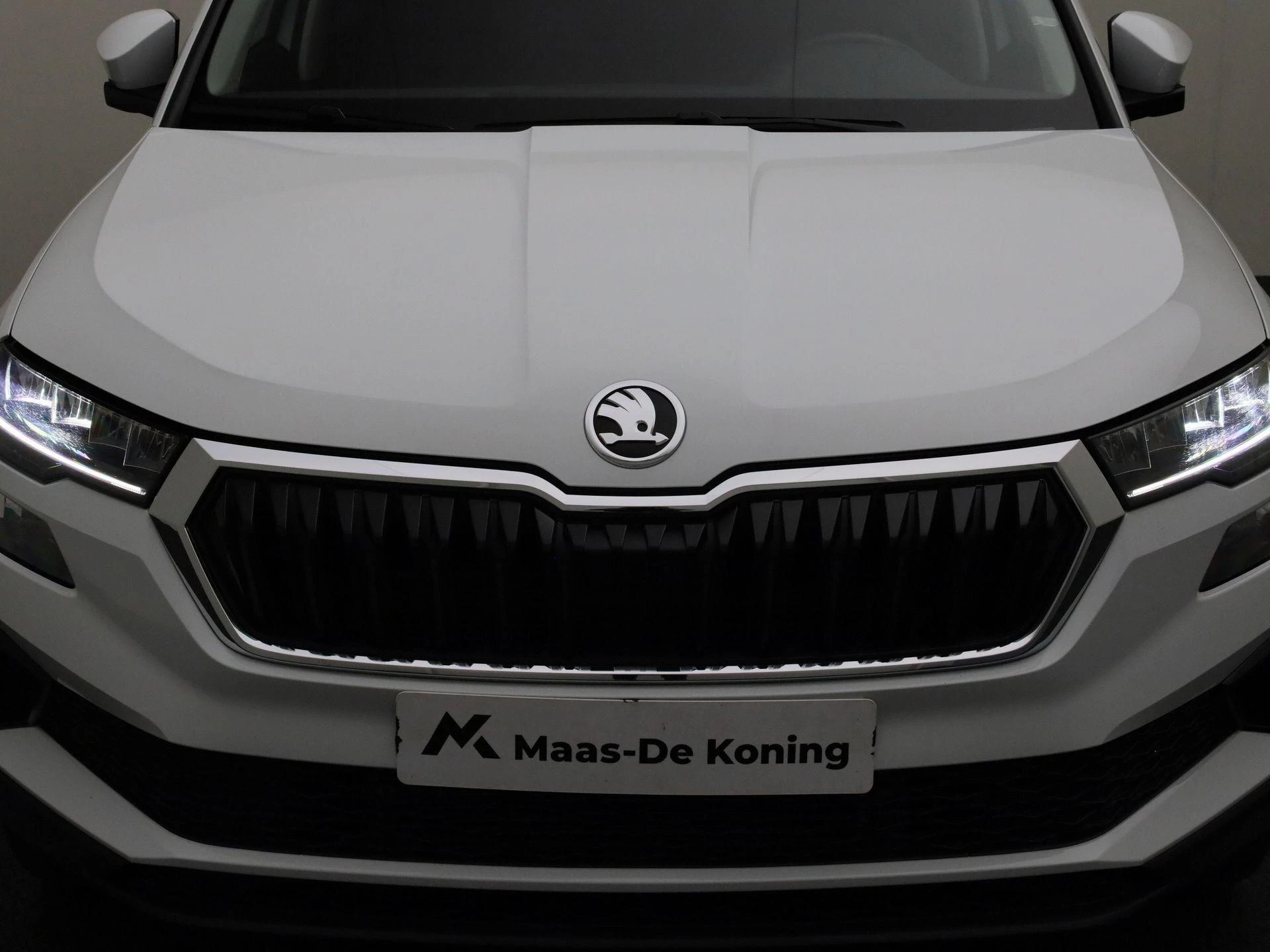 Hoofdafbeelding Škoda Karoq