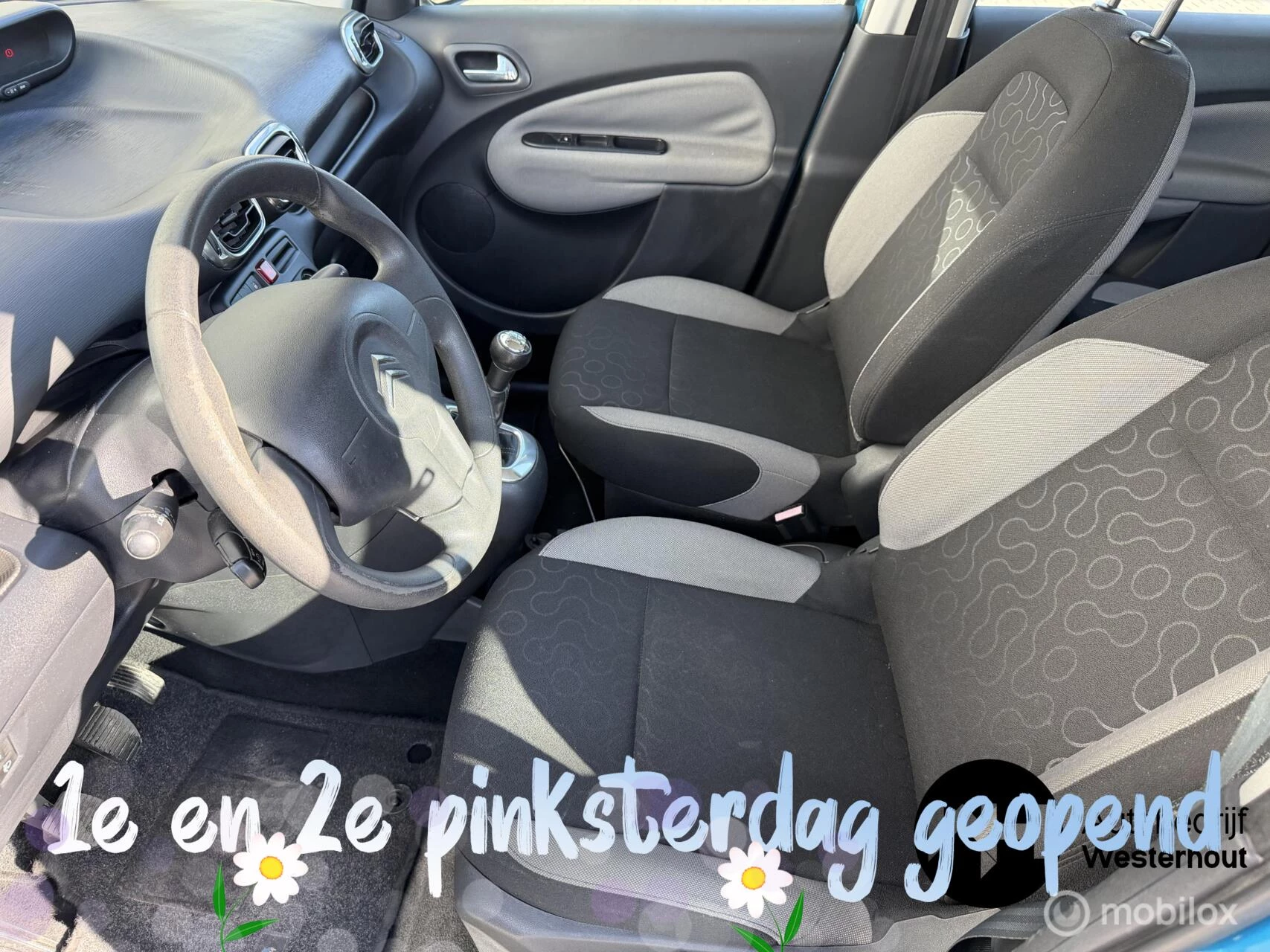 Hoofdafbeelding Citroën C3 Picasso