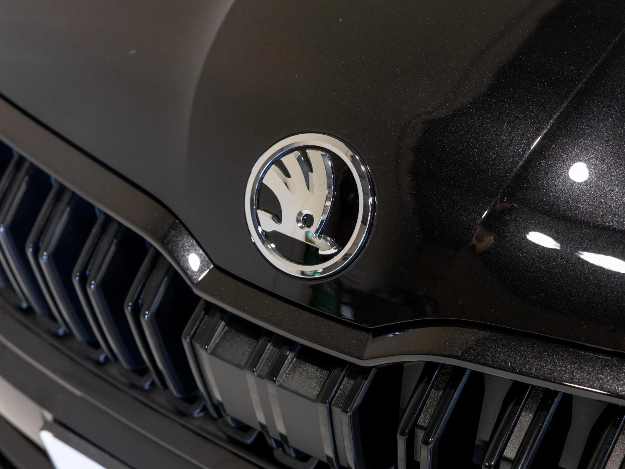 Hoofdafbeelding Škoda Kamiq