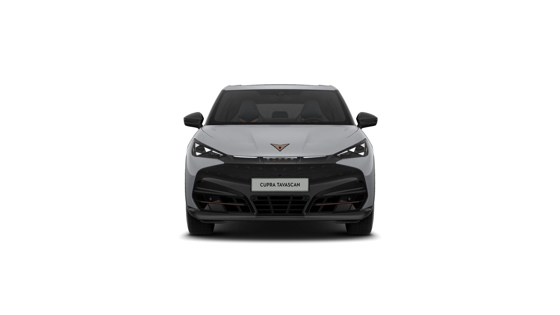 Hoofdafbeelding CUPRA Tavascan