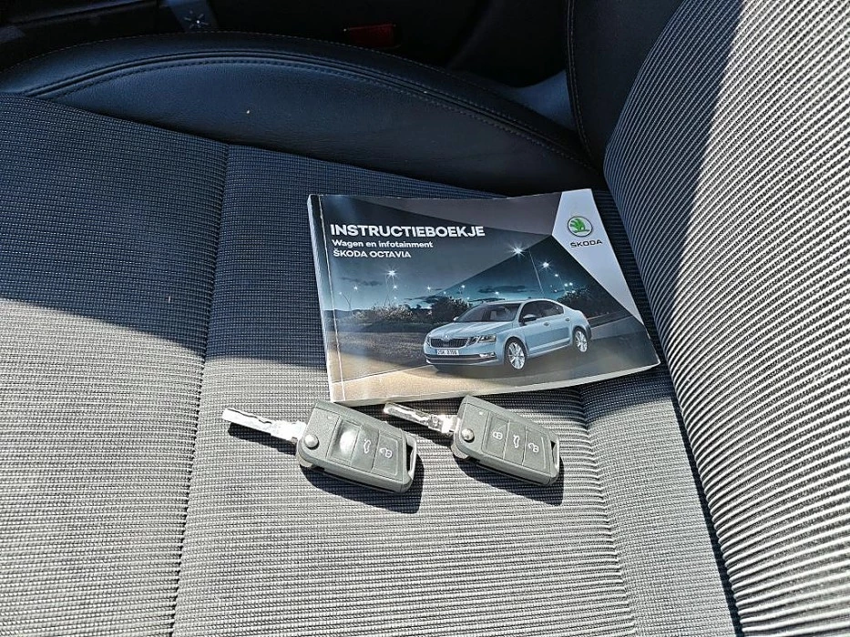 Hoofdafbeelding Škoda Octavia