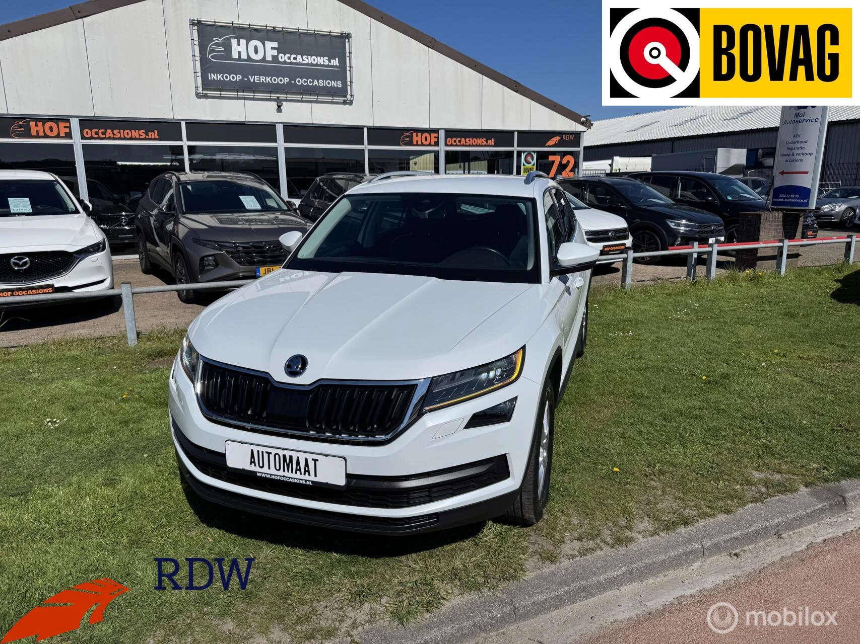 Hoofdafbeelding Škoda Kodiaq