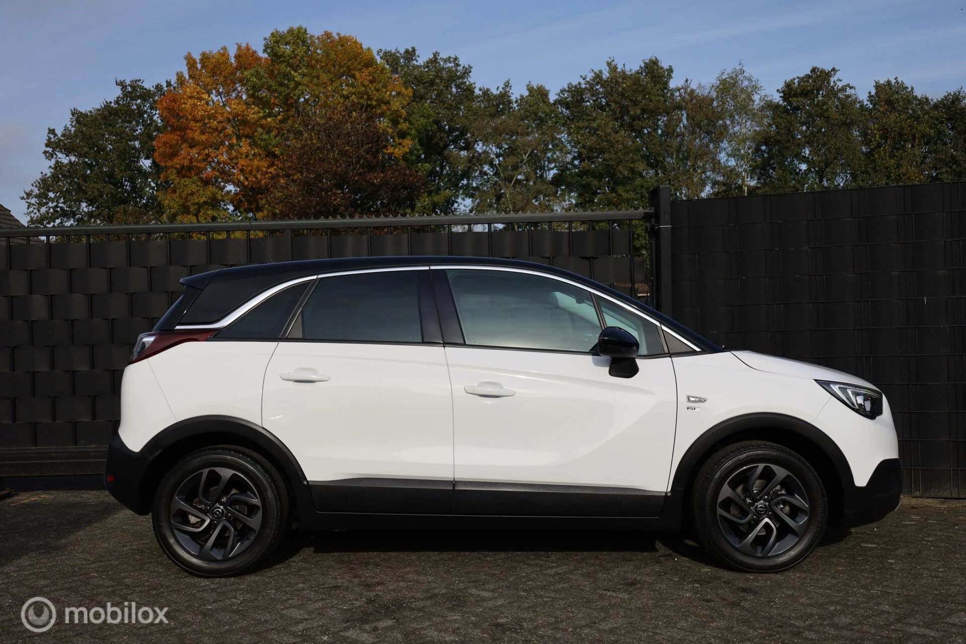 Hoofdafbeelding Opel Crossland X