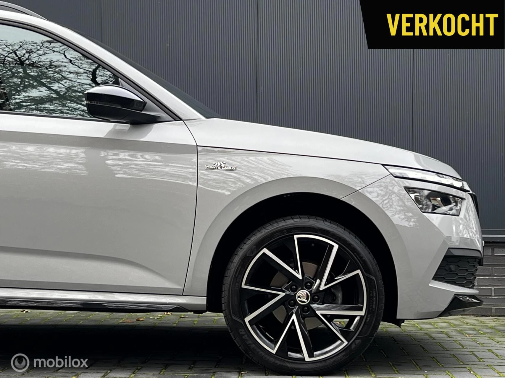 Hoofdafbeelding Škoda Kamiq