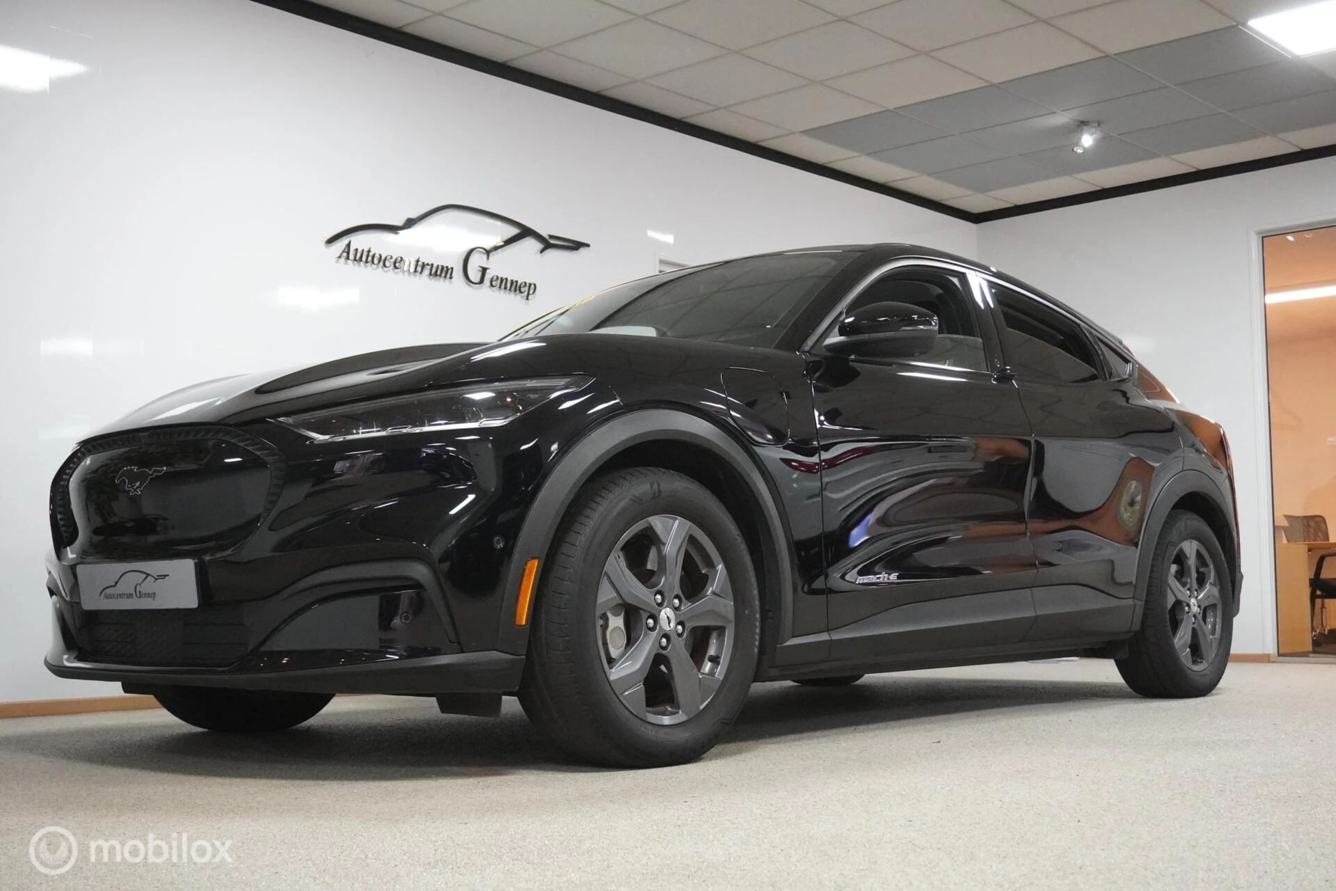 Hoofdafbeelding Ford Mustang Mach-E