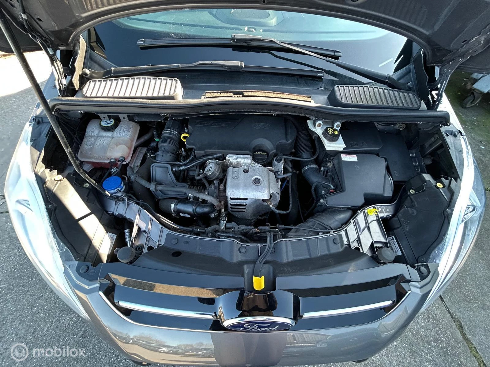 Hoofdafbeelding Ford C-MAX