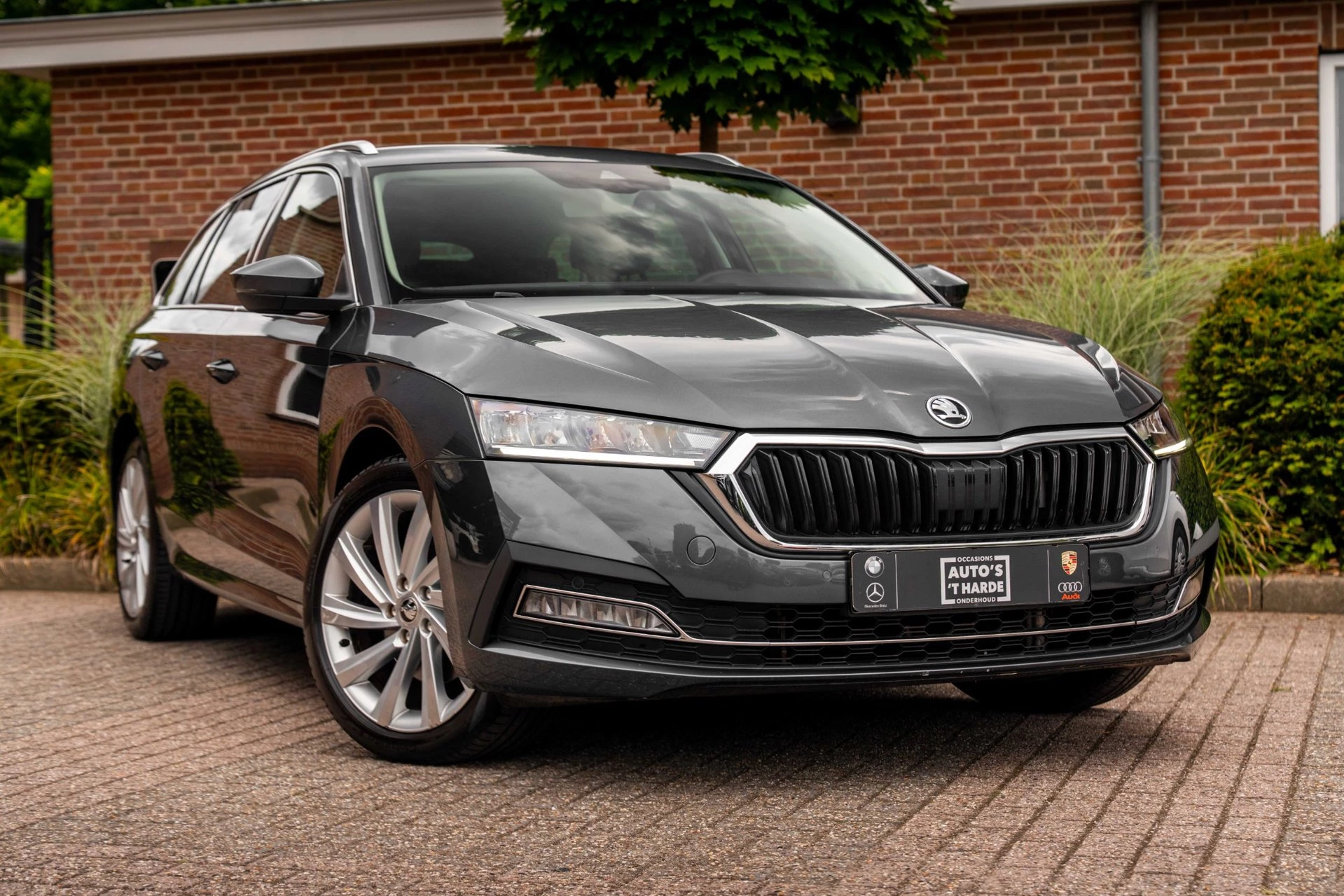 Hoofdafbeelding Škoda Octavia