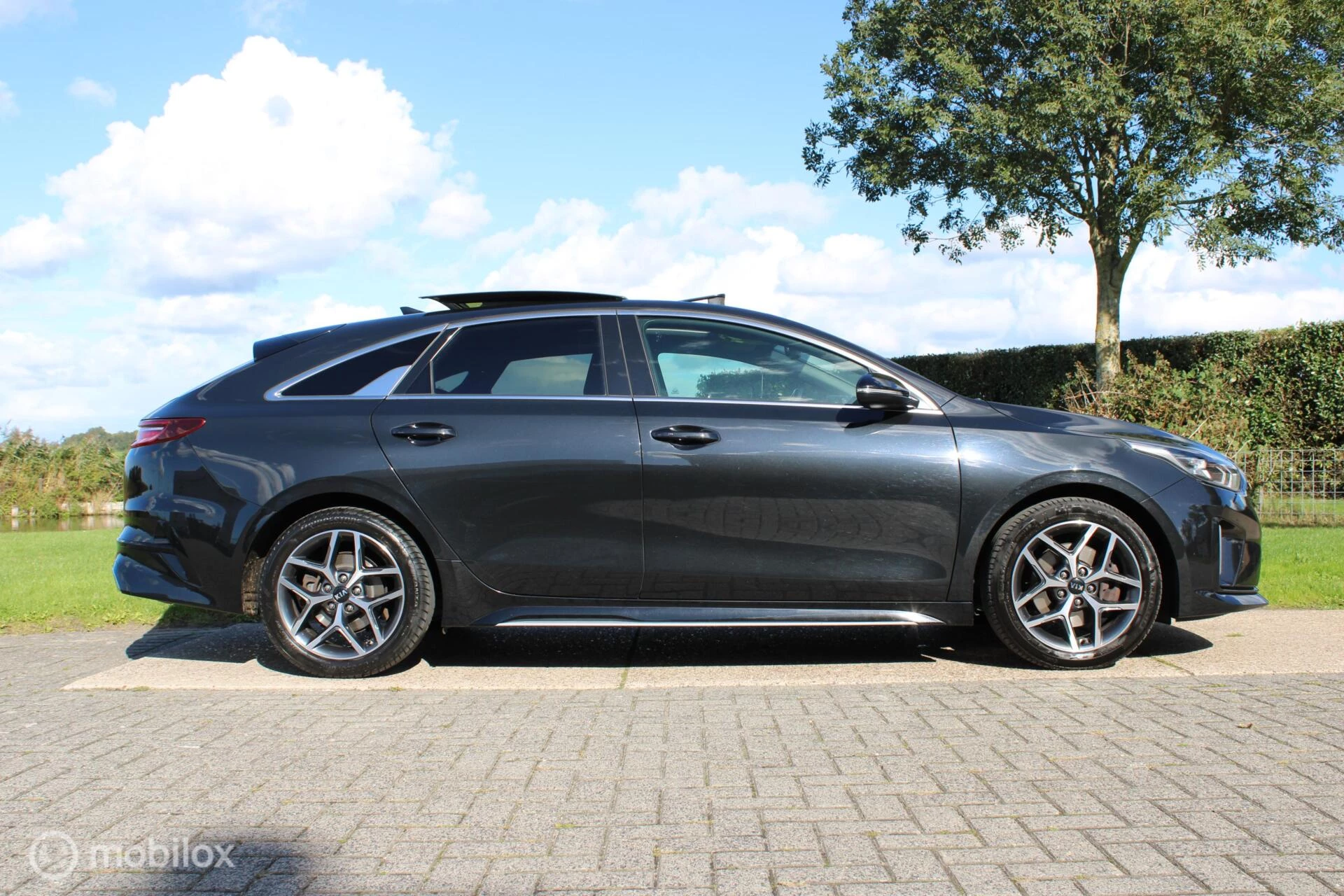 Hoofdafbeelding Kia ProCeed